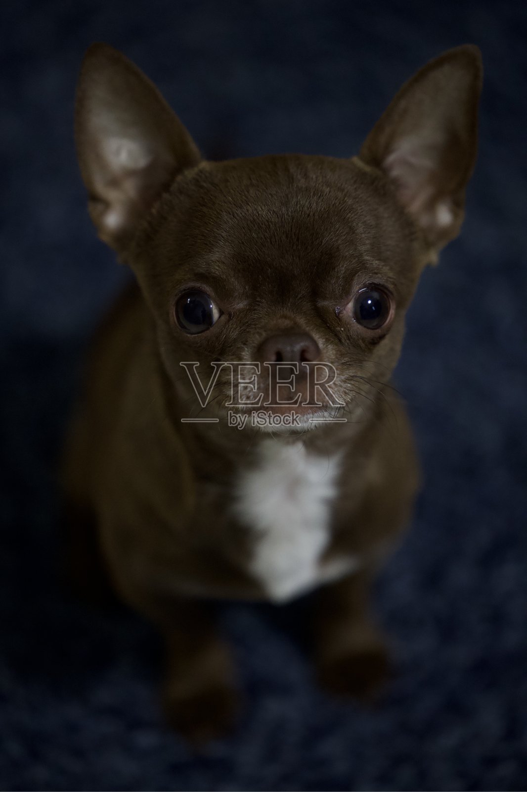 小的习惯照片摄影图片