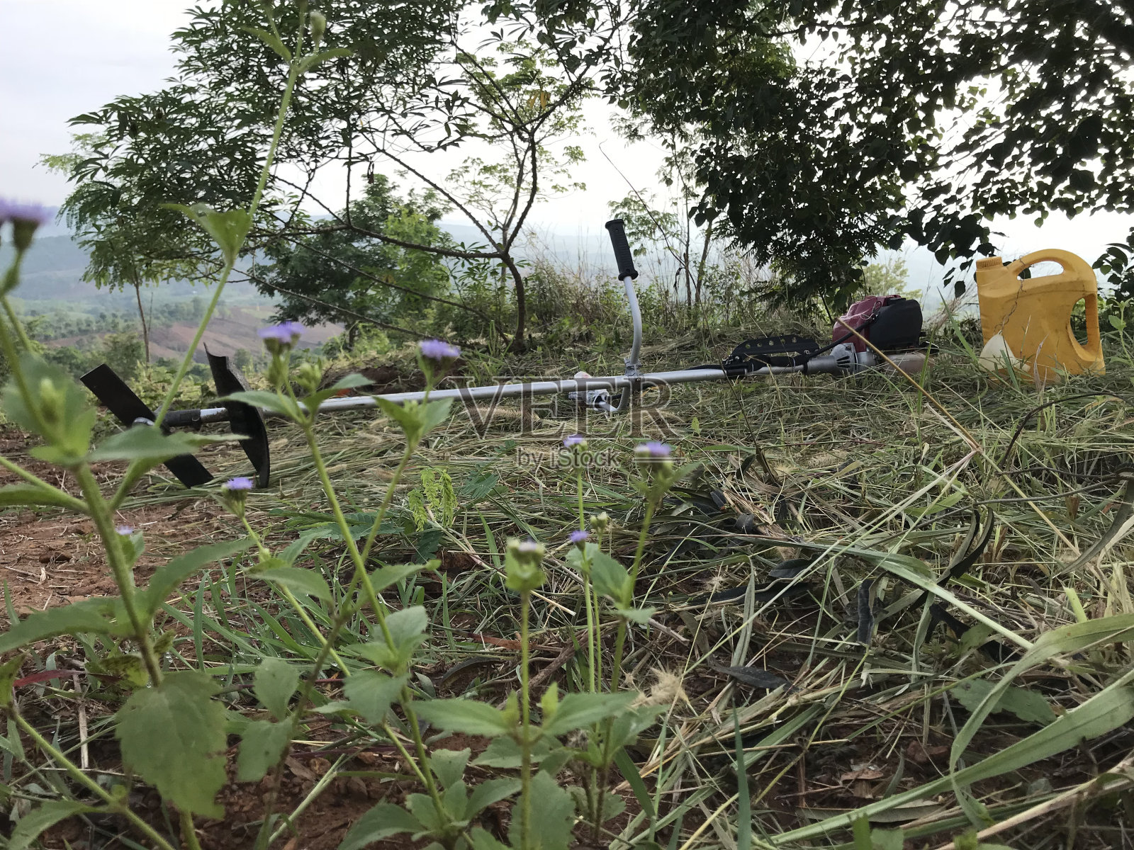 G009照片摄影图片