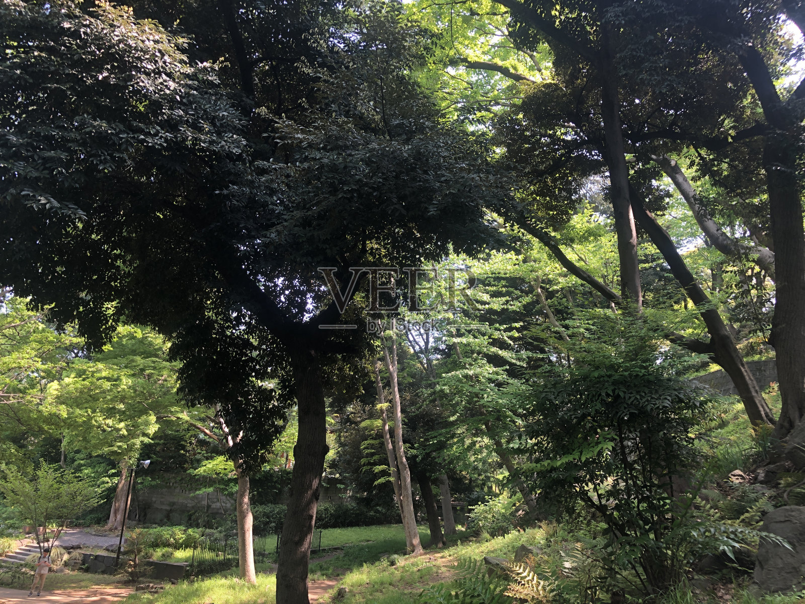 日本风景照片摄影图片