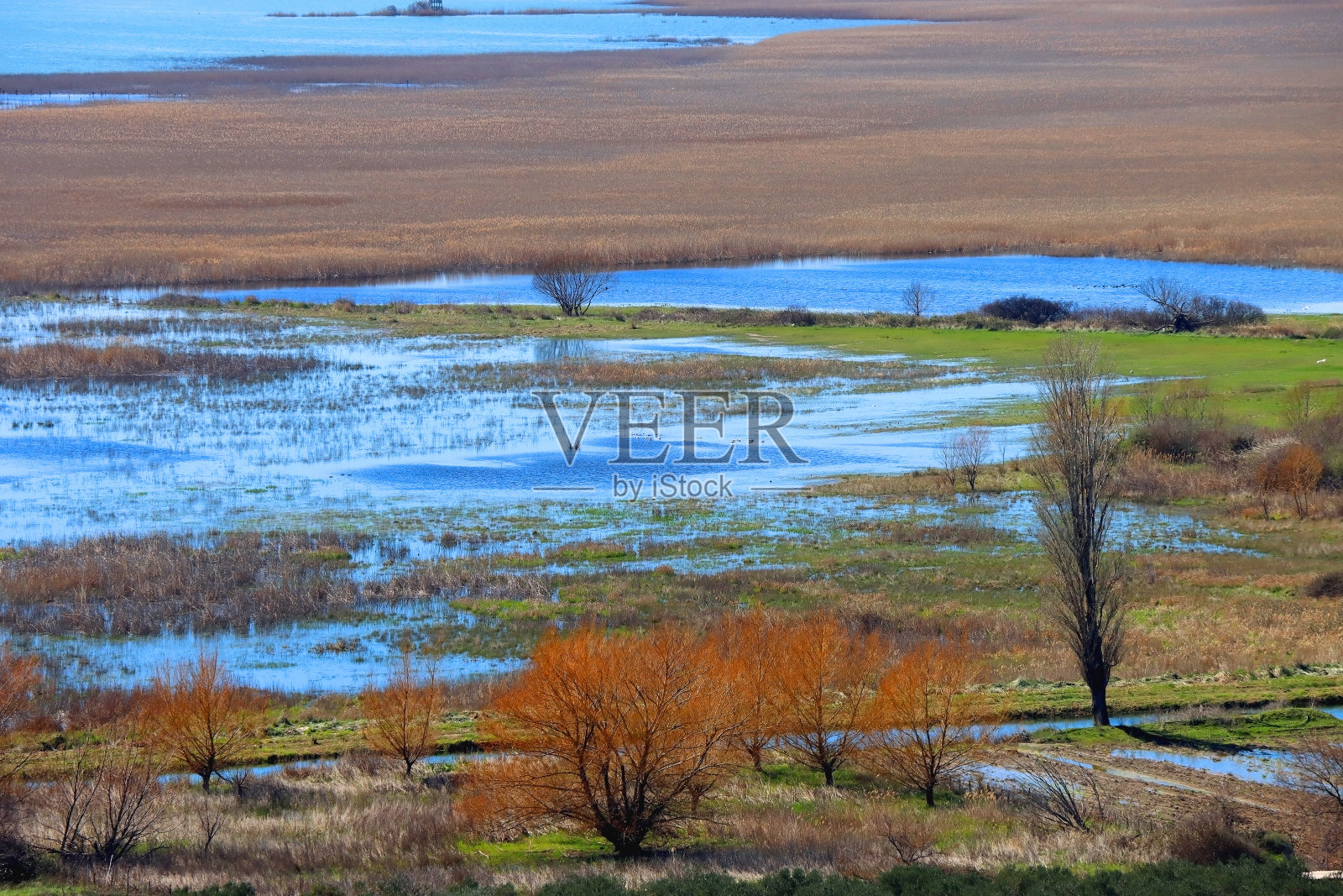 克罗地亚的弗拉纳湖照片摄影图片