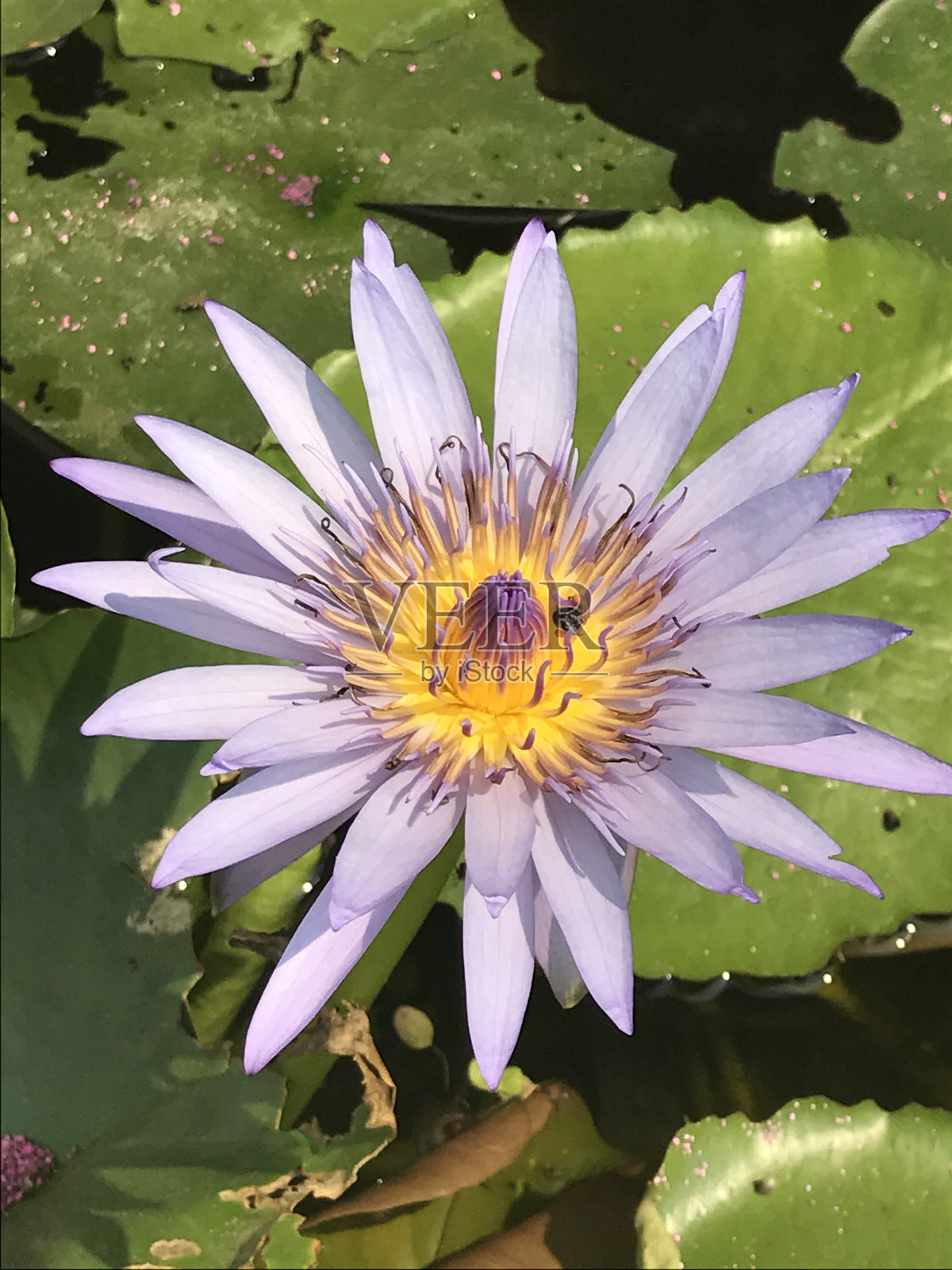 016照片摄影图片