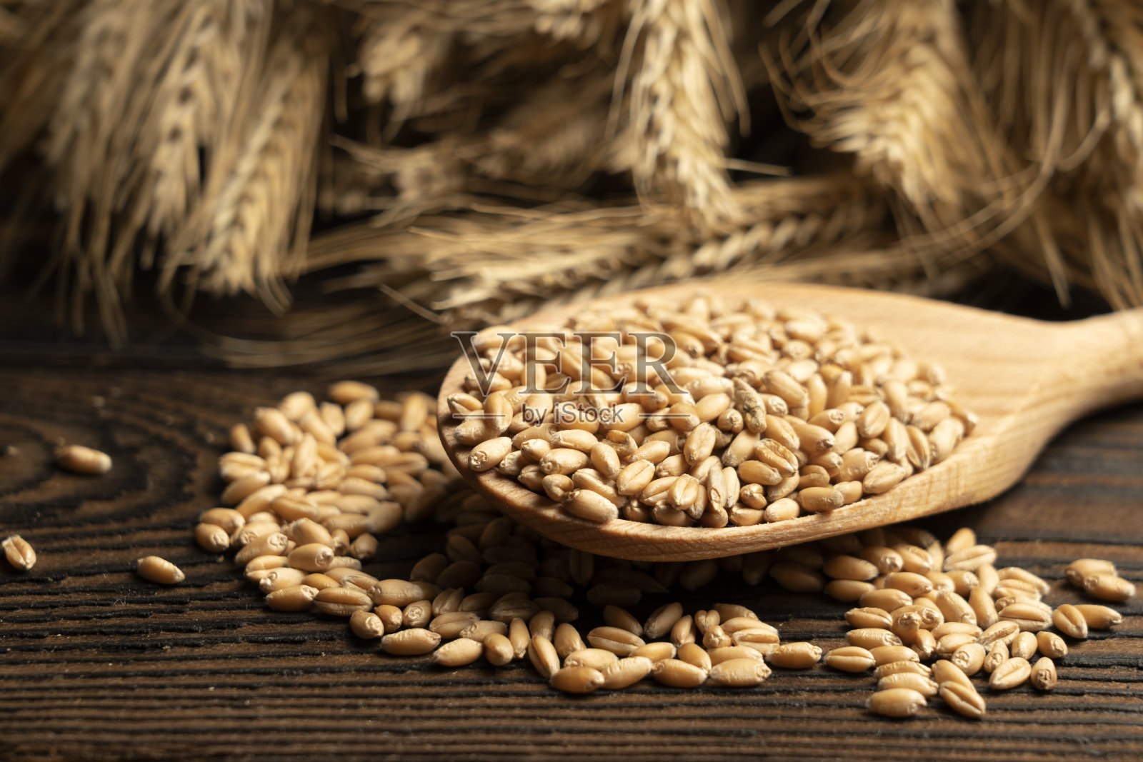 以小麦小穗为背景的钱。粮食和农业出口。农产品价格上涨照片摄影图片