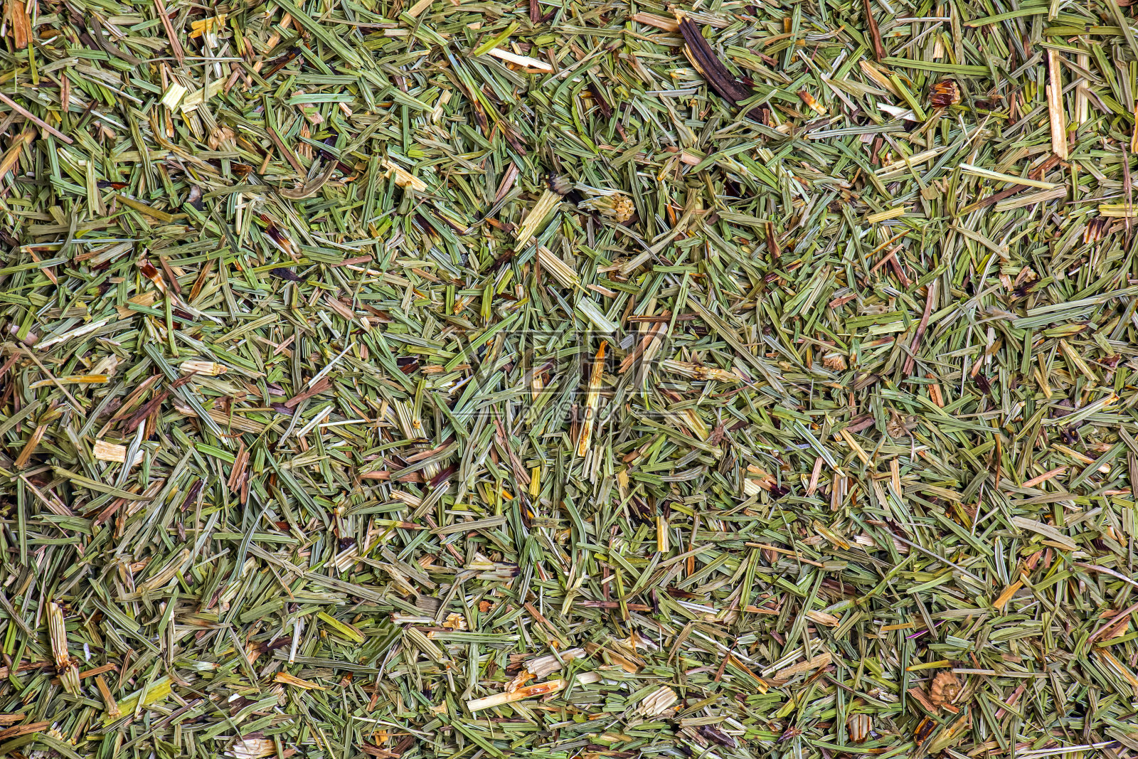 干草马尾的背景。马尾草在民间医学中应用广泛。照片摄影图片