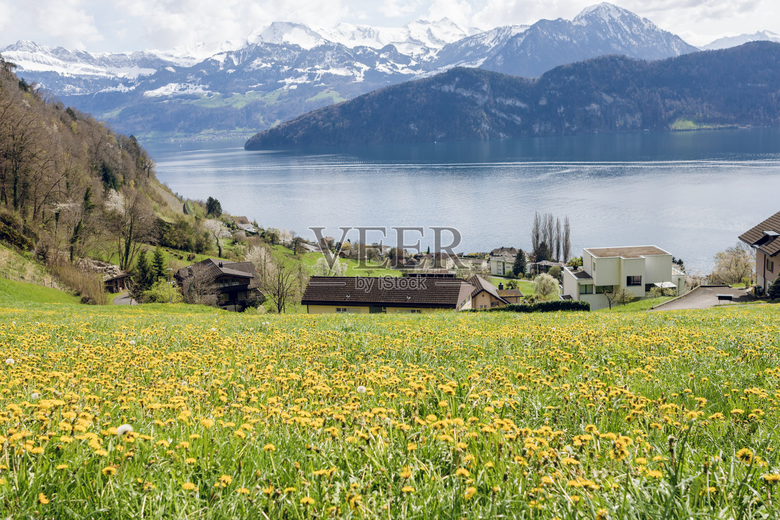 Weggis在瑞士卢塞恩。照片摄影图片