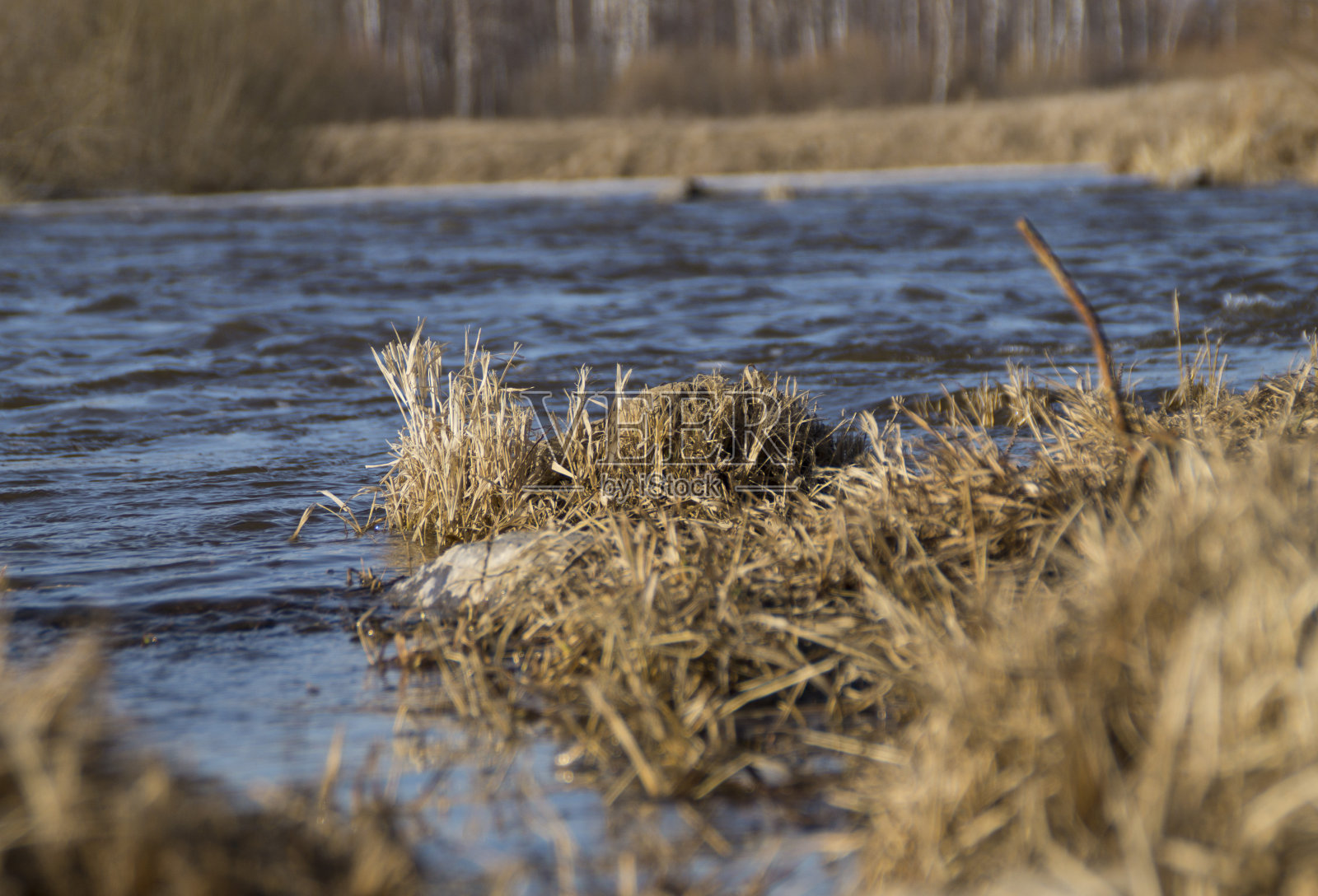 长满干草的石头。照片摄影图片