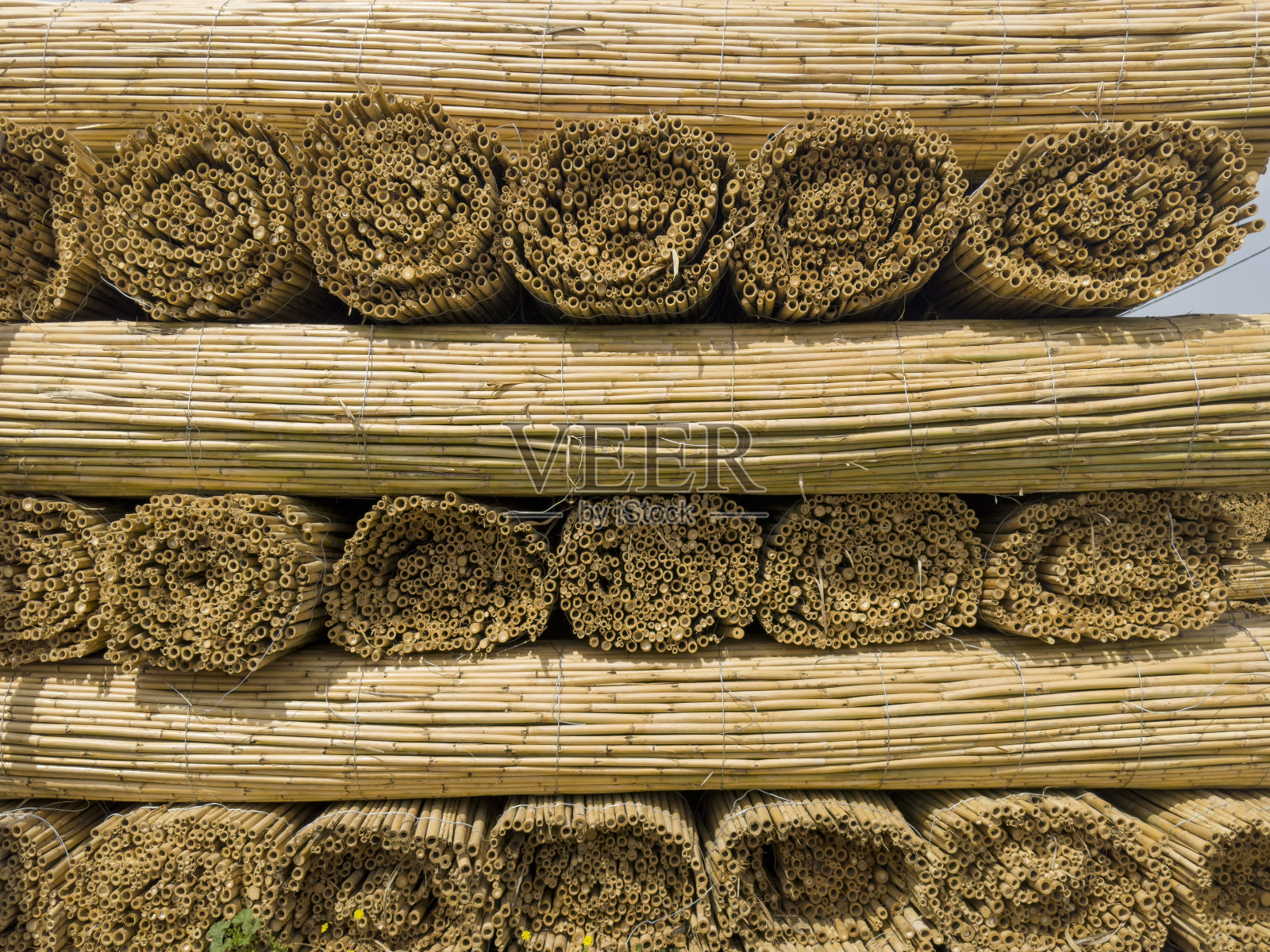 柳条制品产于气候炎热地区照片摄影图片