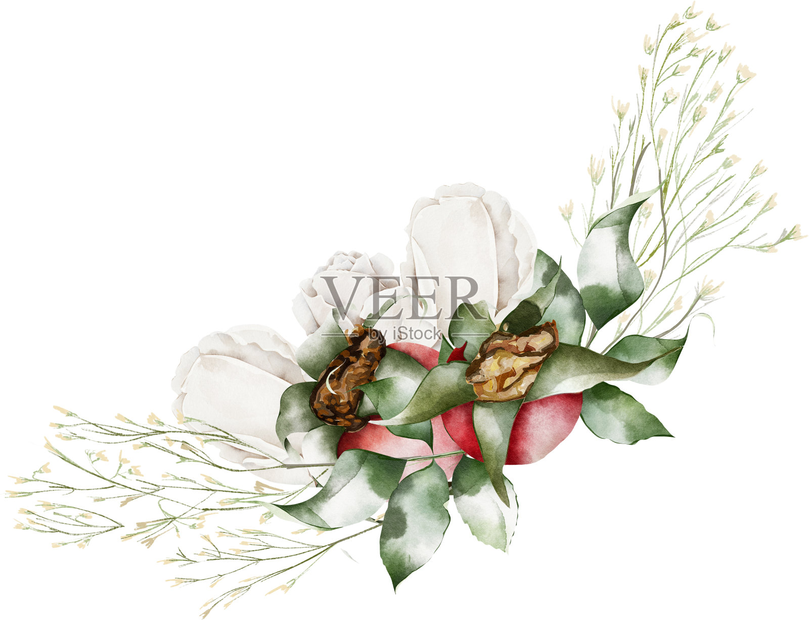 玫瑰果与白色和干花边框框架水彩插图插画图片素材