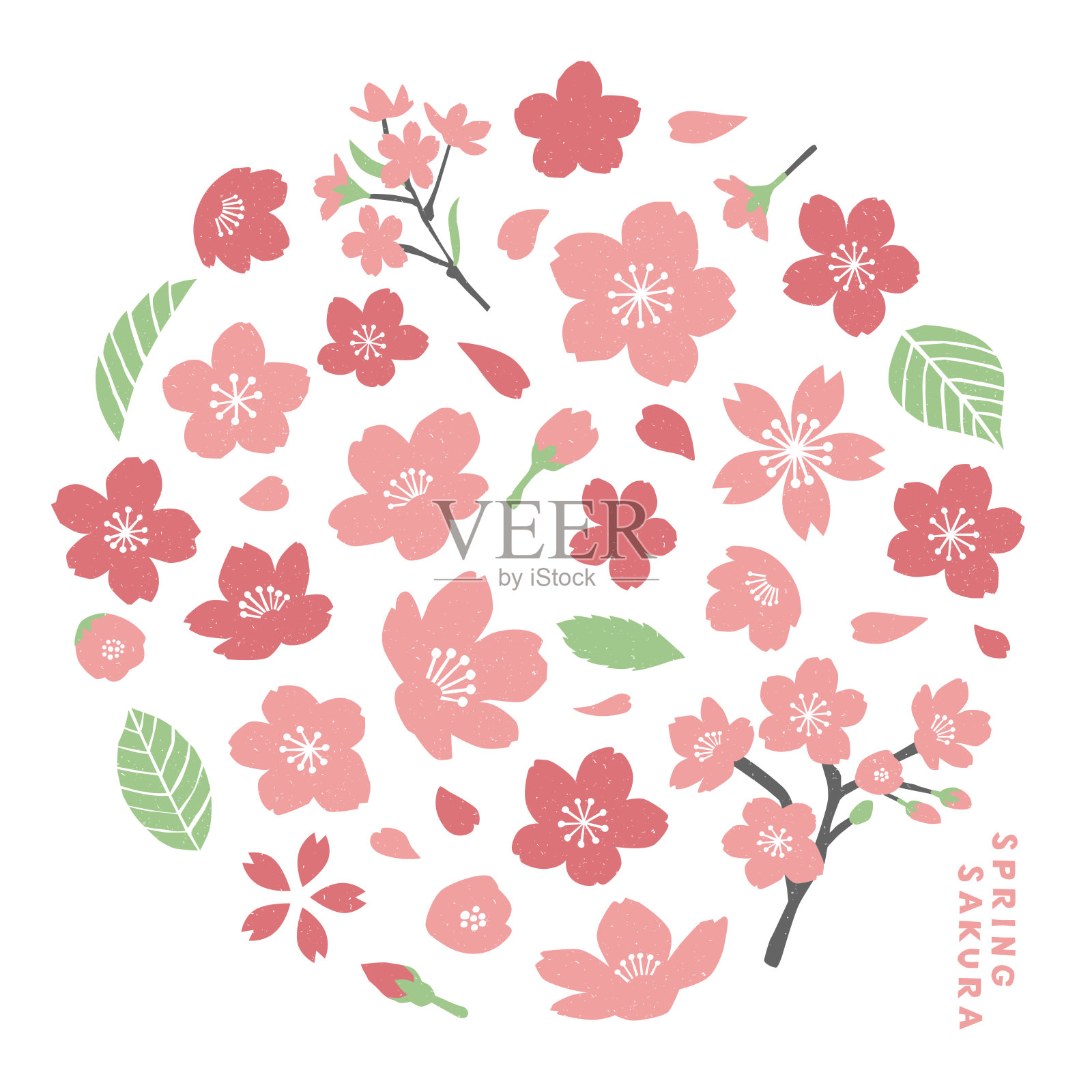 春天樱花的手绘插图。插画图片素材