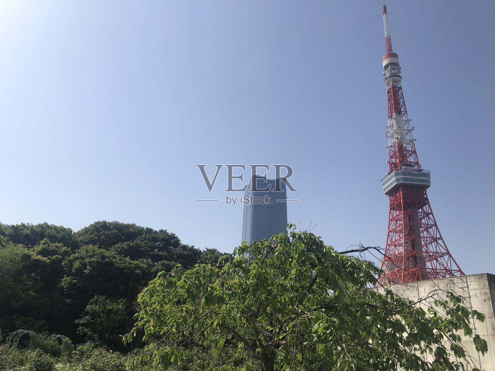 日本花木照片摄影图片