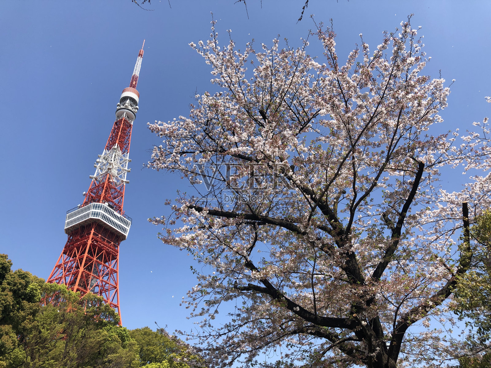 日本风景照片摄影图片