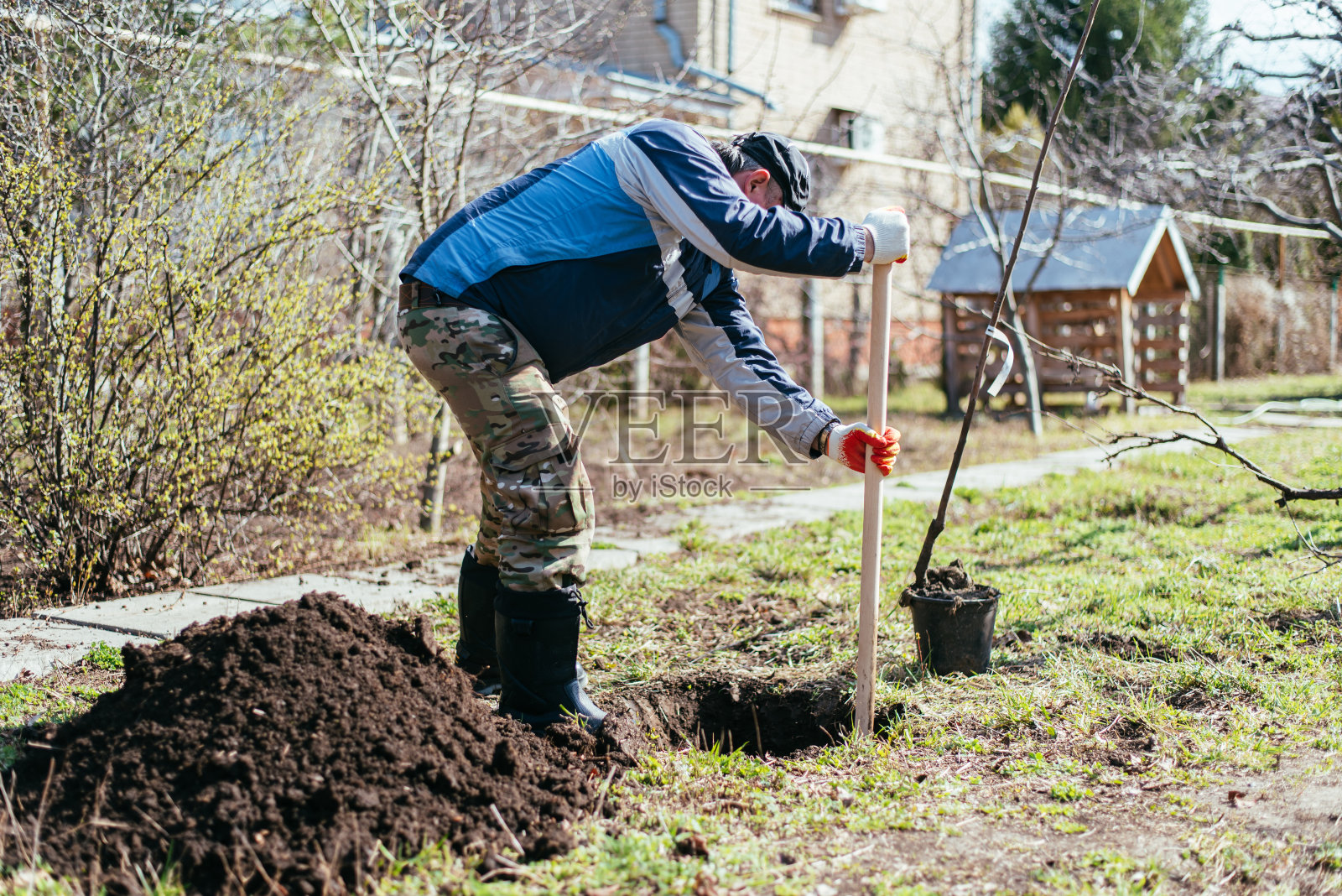 一个男人正在种一棵小树。农民正在用铲子挖土种一棵小幼苗。保护环境和生态的理念照片摄影图片