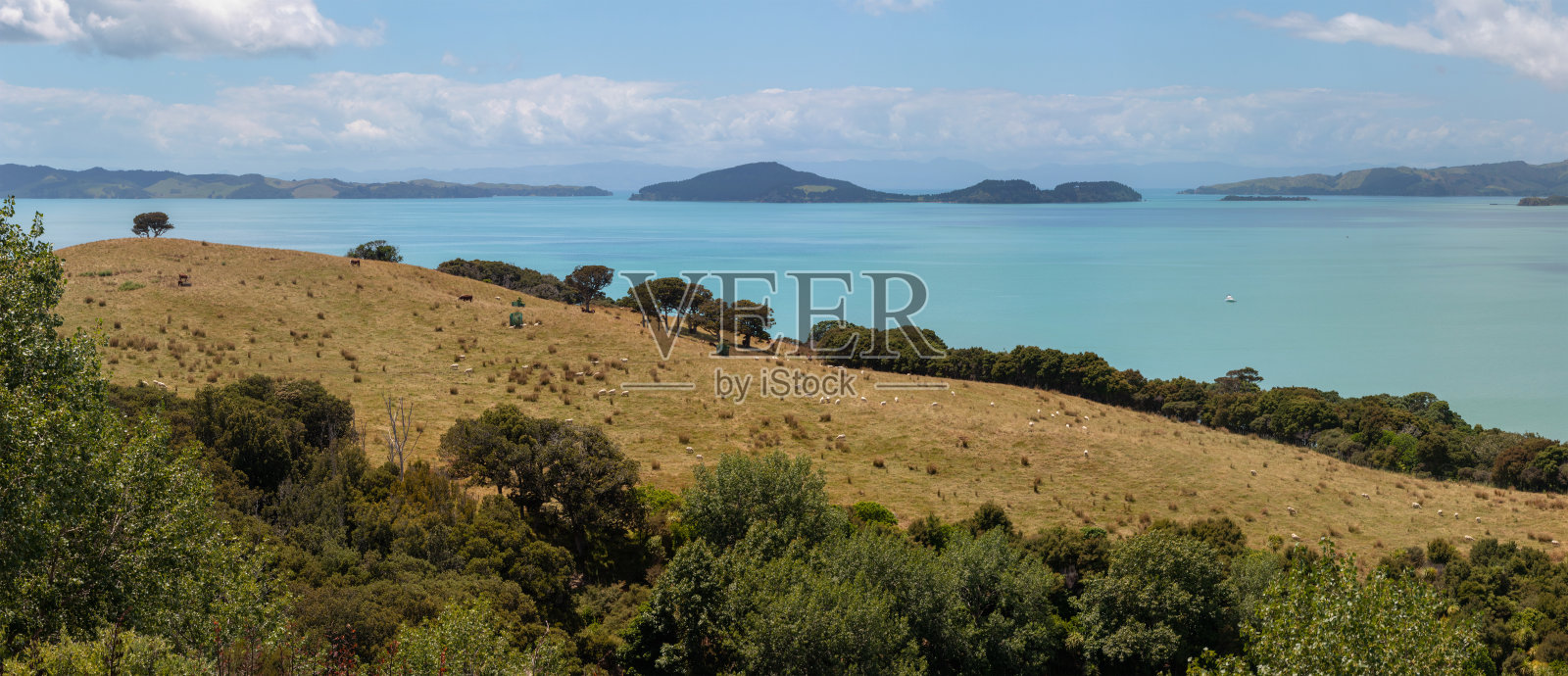风景如画，湛蓝的大海和黄山上吃草的羊照片摄影图片
