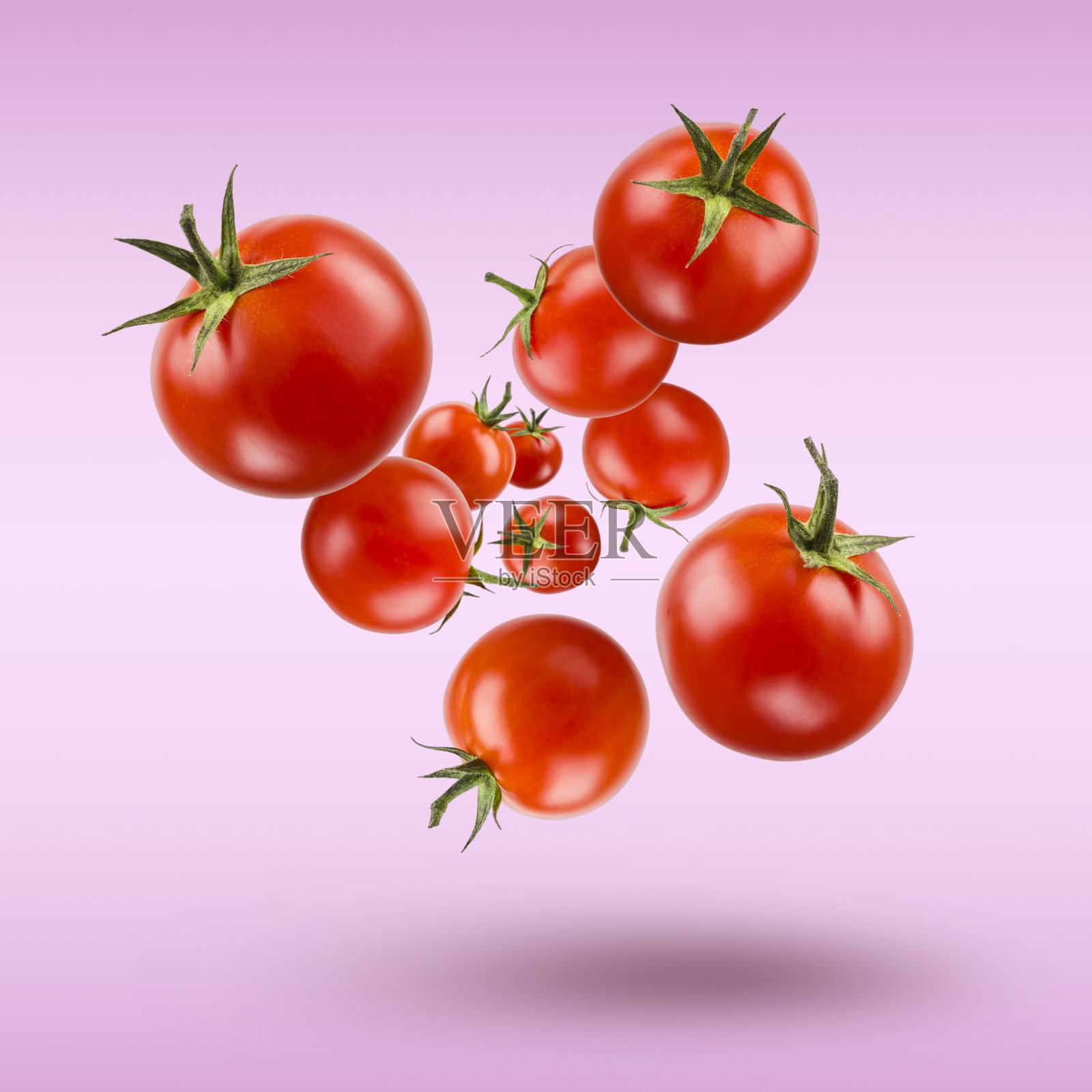 小红圣女果。照片摄影图片