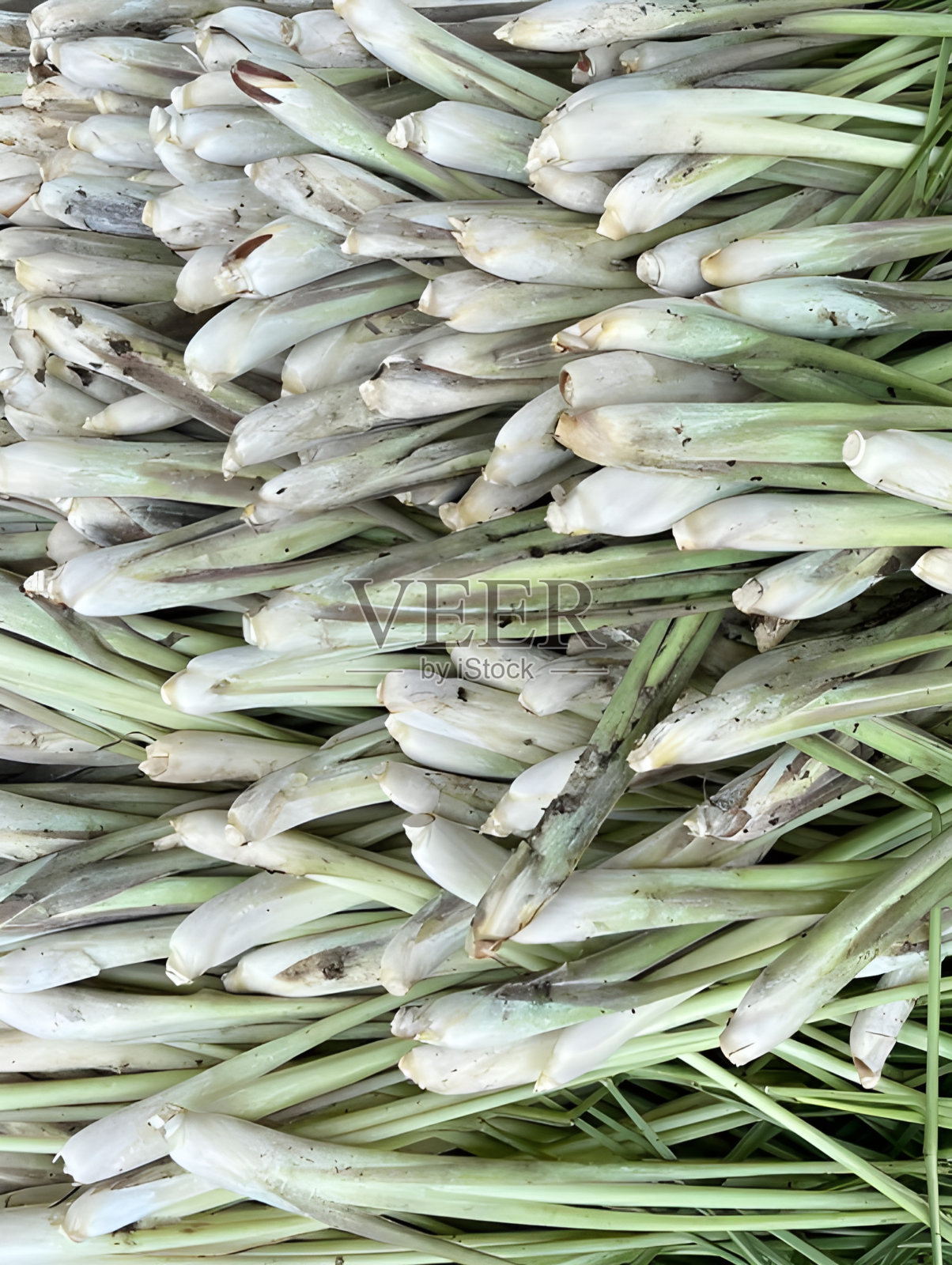 市场摊位上的新鲜有机柠檬草照片摄影图片