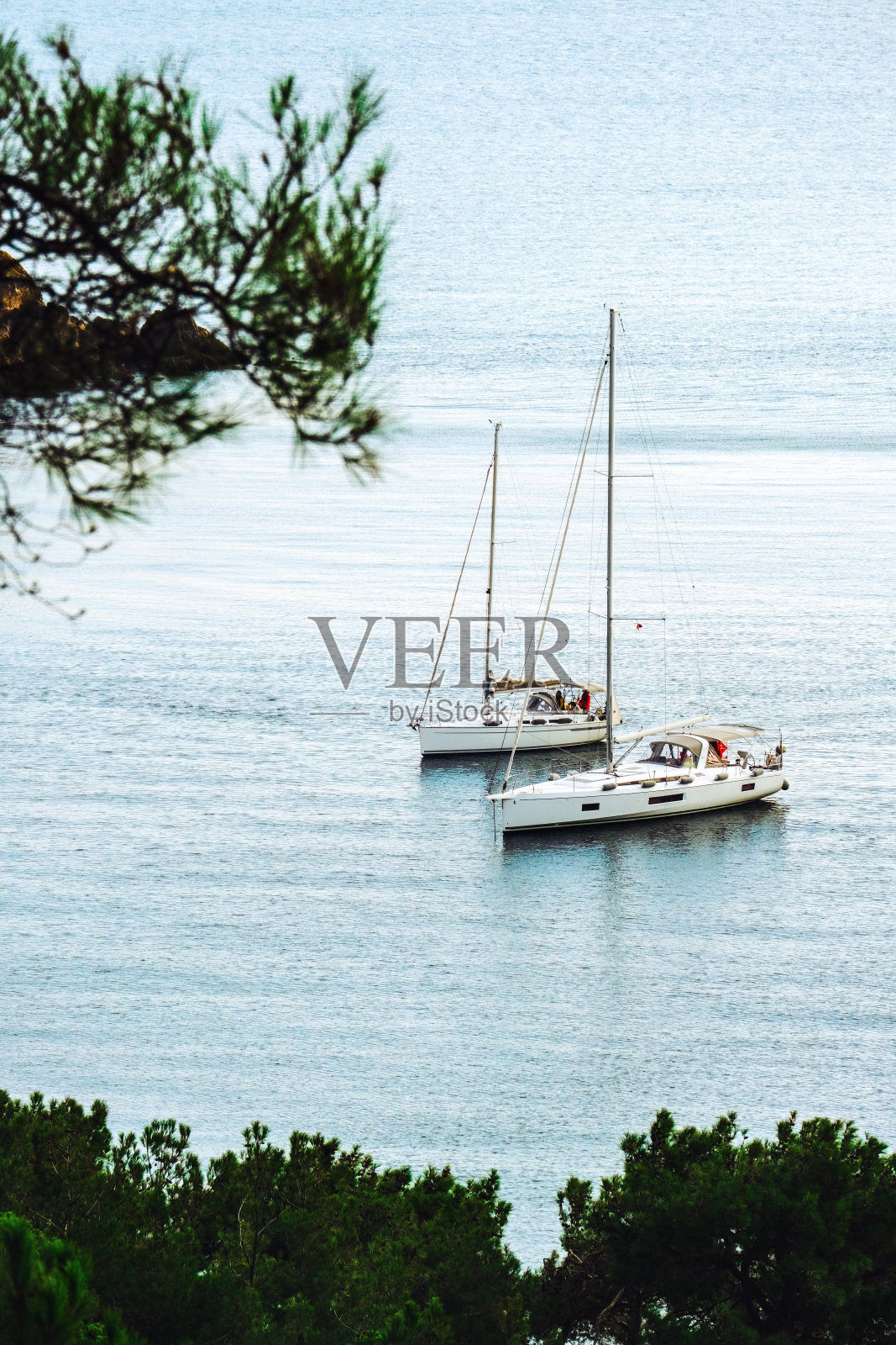 土耳其伊斯坦布尔海贝利亚达岛的游艇和海岸线美景。码头上晴朗的一天。照片摄影图片