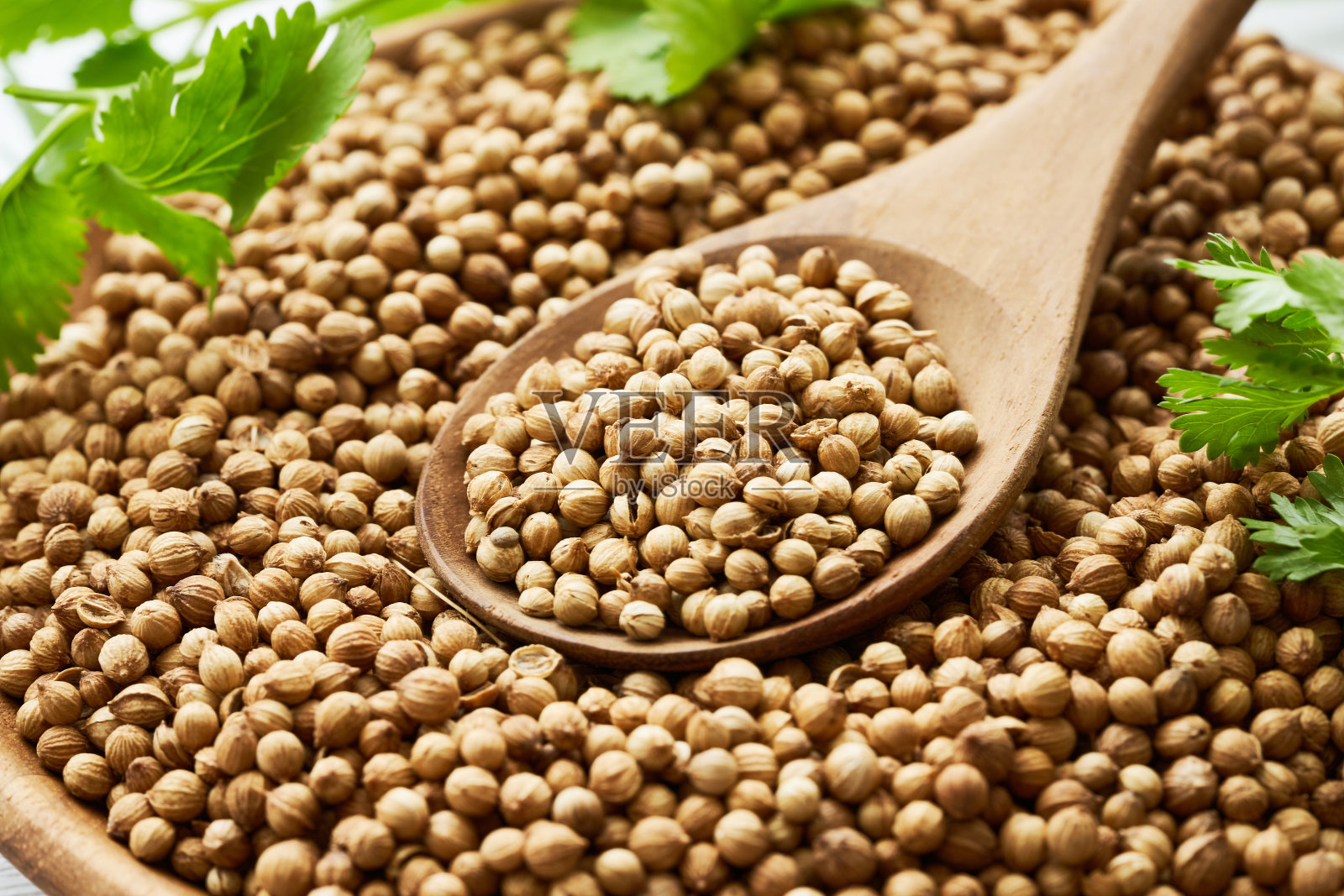 干香菜种子香料和叶子或叶子在木板和勺子在木桌背景照片摄影图片