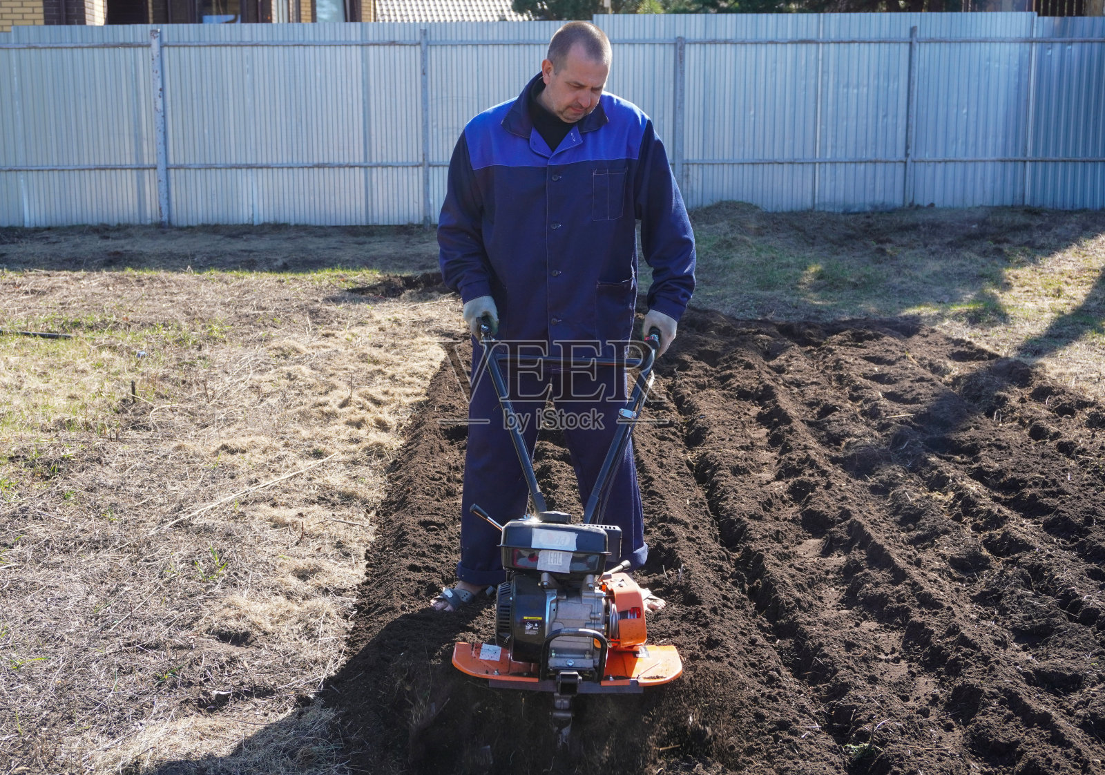早春时节，一个男人在菜园里干活。挖地。作为耕耘机，履带式拖拉机。照片摄影图片