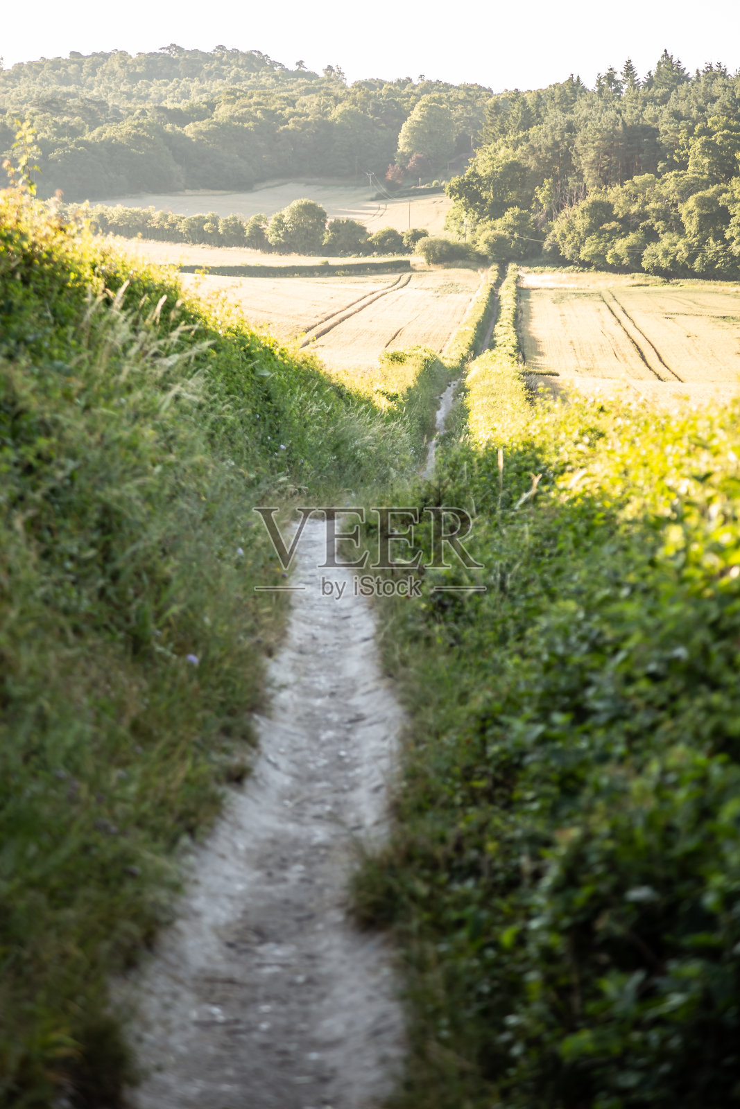 英格兰吉尔福德附近的人行道照片摄影图片