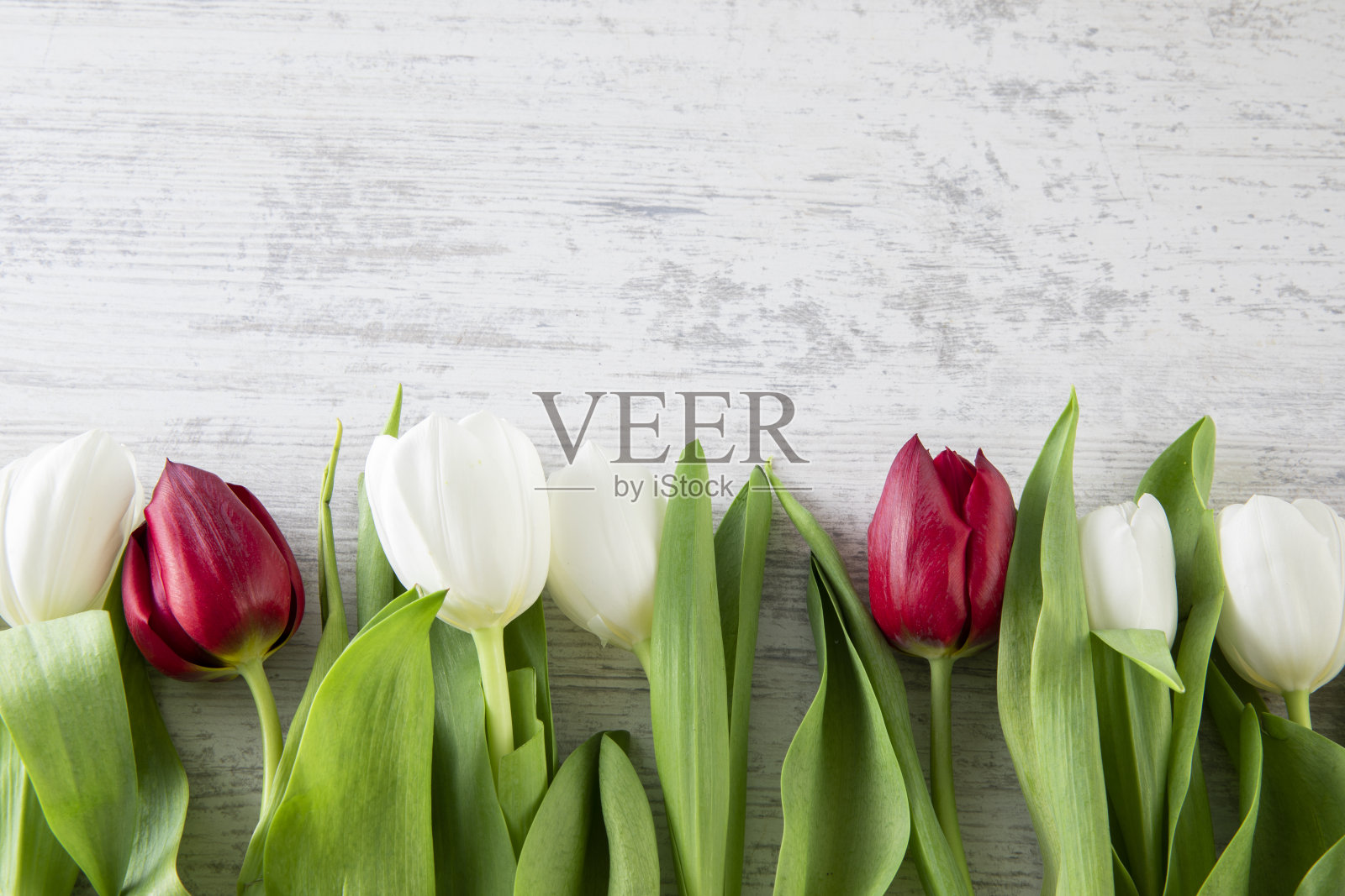 美丽的郁金香木制背景照片摄影图片