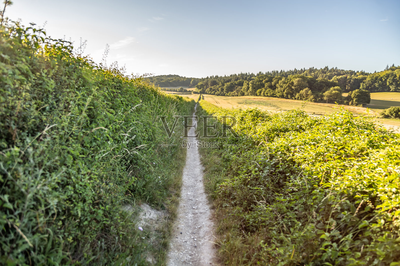 英格兰吉尔福德附近的人行道照片摄影图片