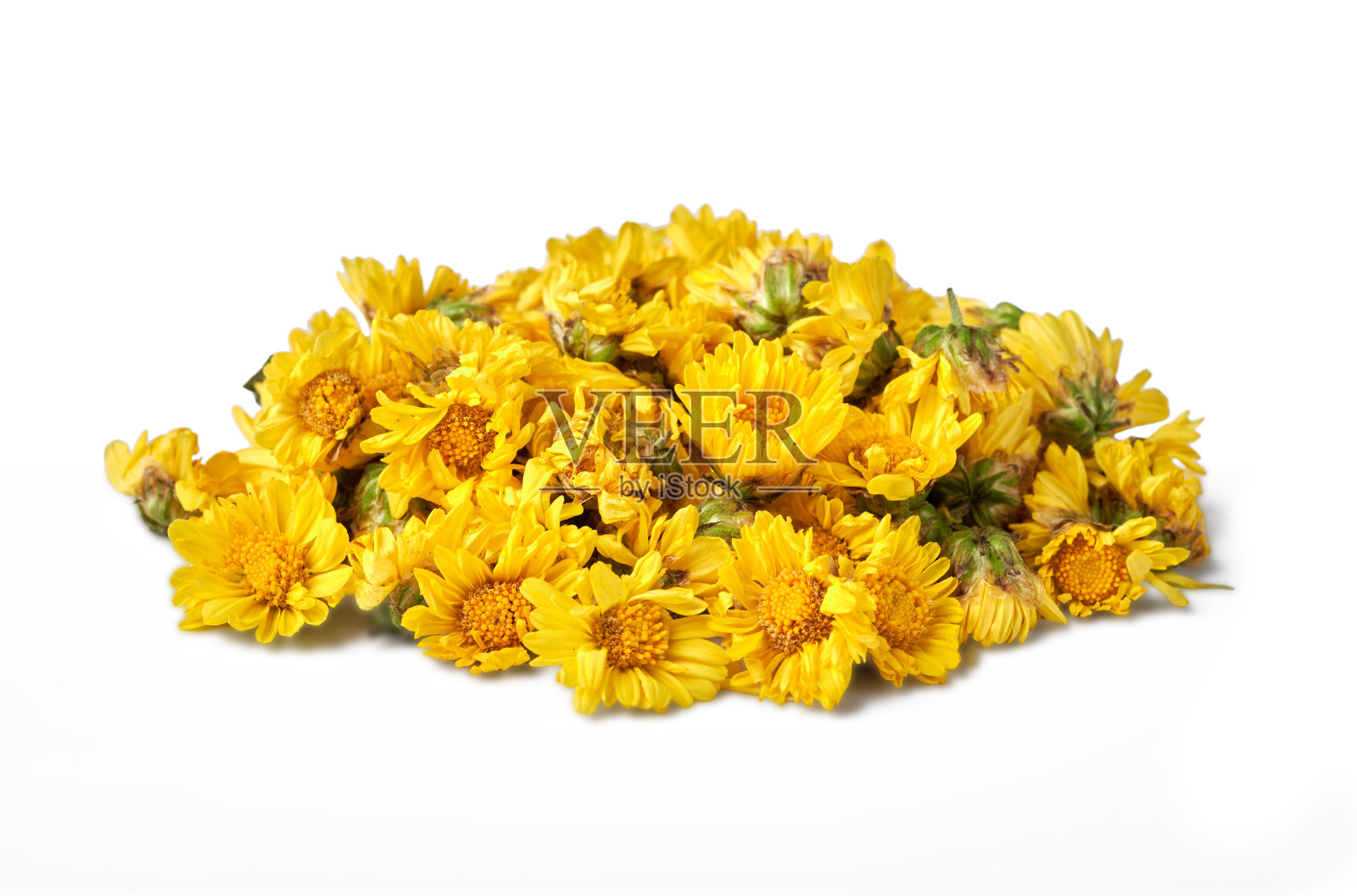 特写一堆干菊花孤立在白色的背景与剪辑路径照片摄影图片