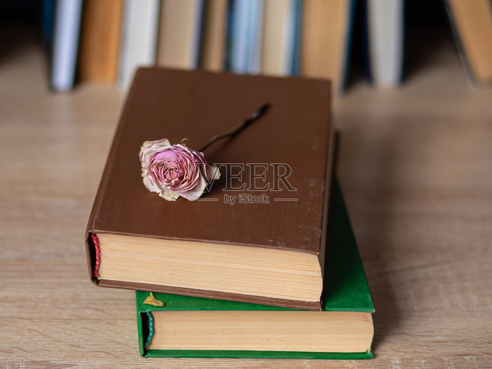 书架的背景上放着一本带有玫瑰花的书。花和书。在学院和大学接受培训和教育。家里图书馆里的书。热爱阅读。读什么书。照片摄影图片
