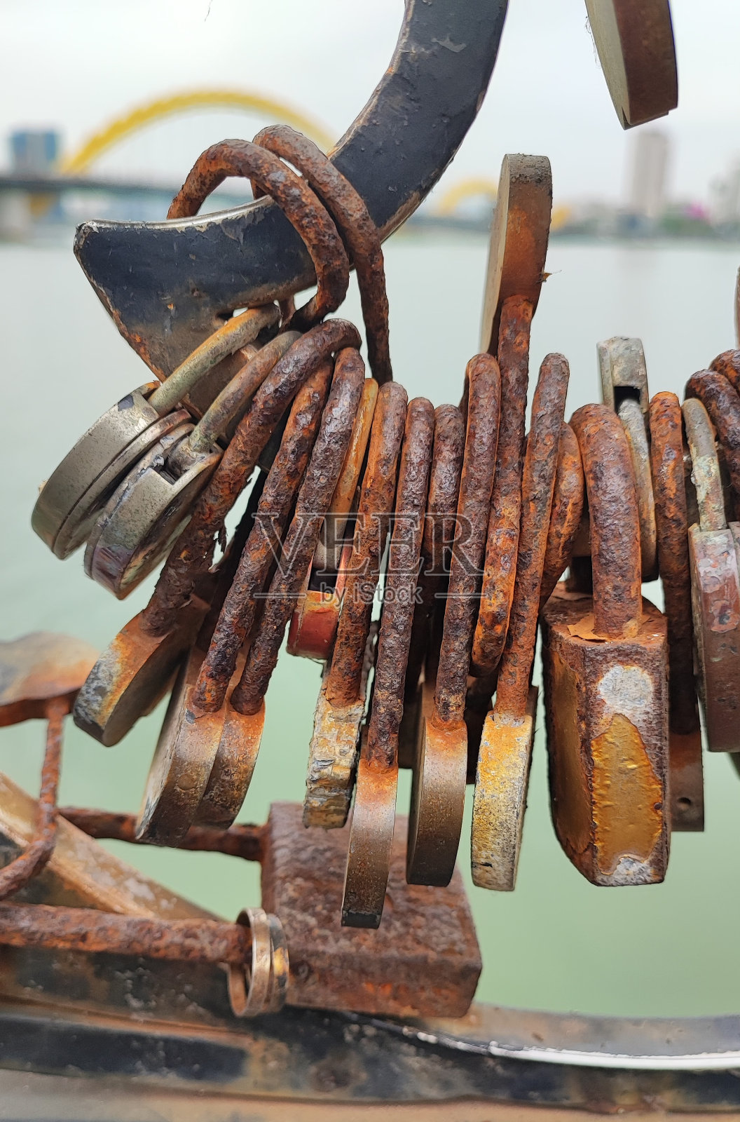 键照片摄影图片