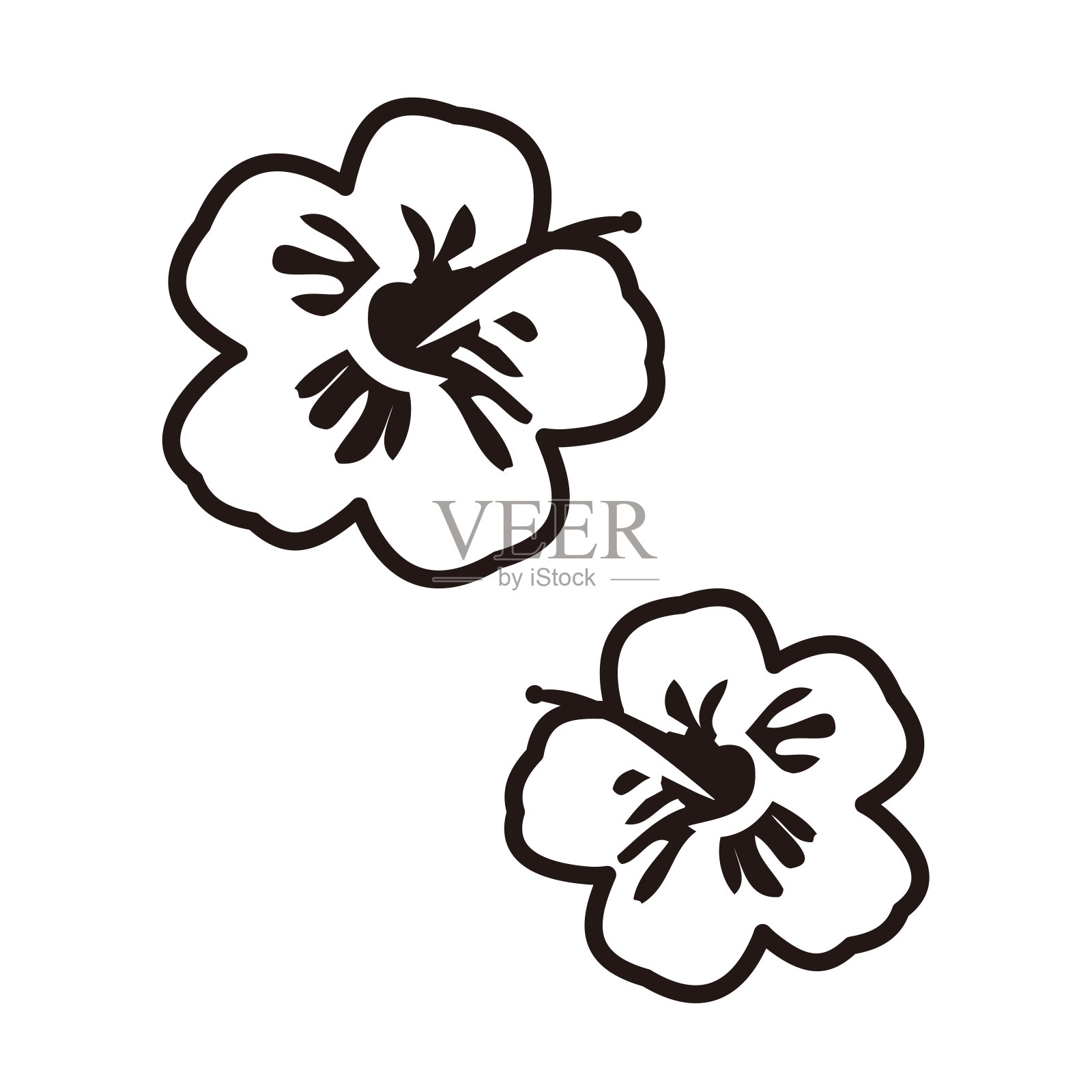 可爱的木槿线条画插图插画图片素材