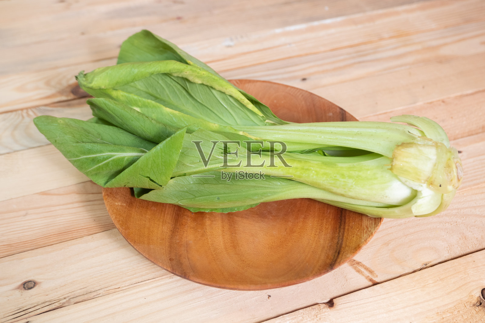 白菜或小白菜(Brassica rapa)或白菜照片摄影图片