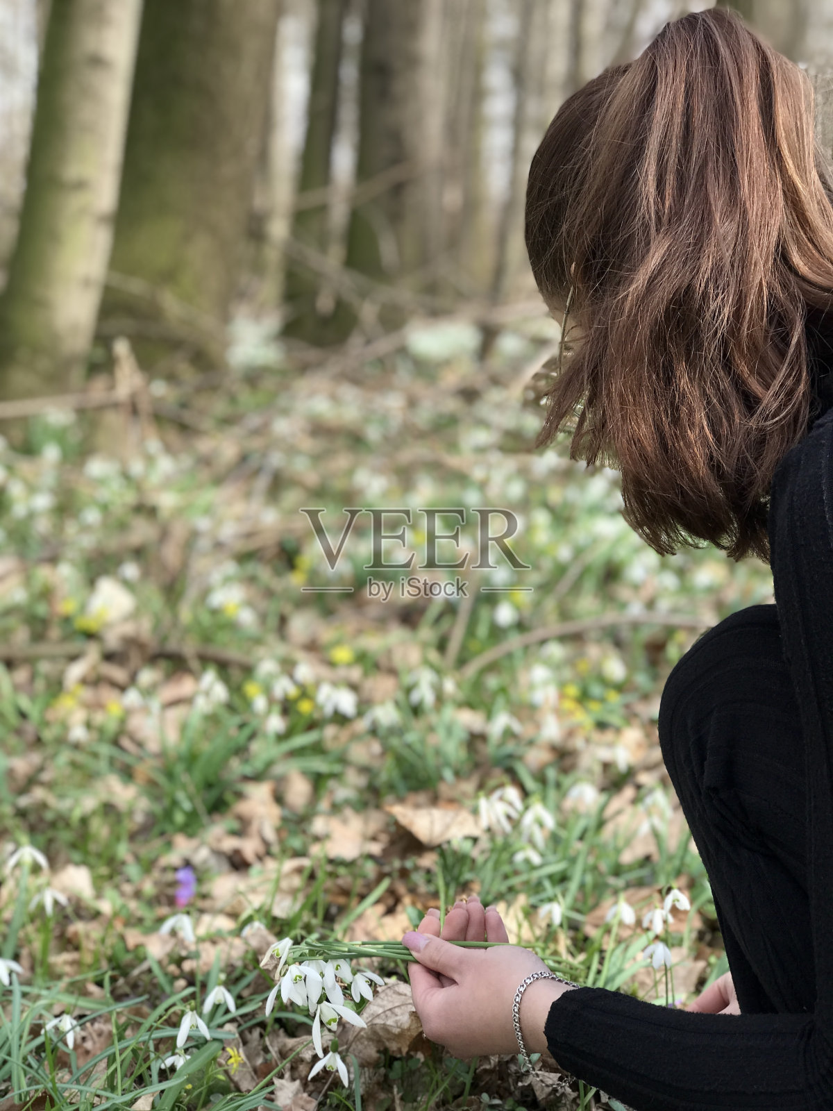 一个女孩在春天的森林里收集雪花莲的白色花朵照片摄影图片