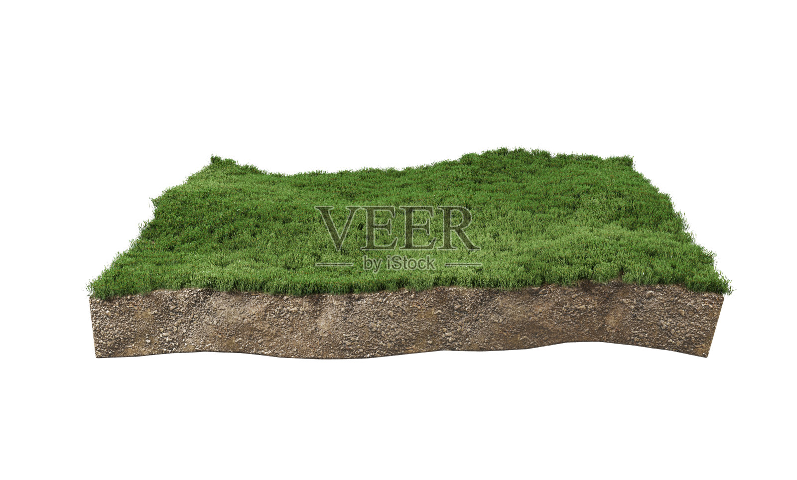 土地或土地或土壤土地和绿色草地部分隔离在白色背景上。三维演示照片摄影图片
