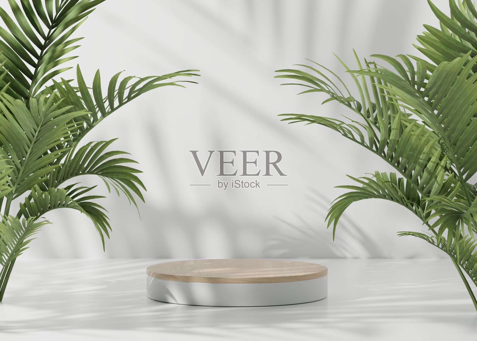 三维白色讲台或白色和木制讲台舞台。白色样机架产品场景蓝色背景。3d讲台舞台插图渲染。绿棕榈叶照片摄影图片