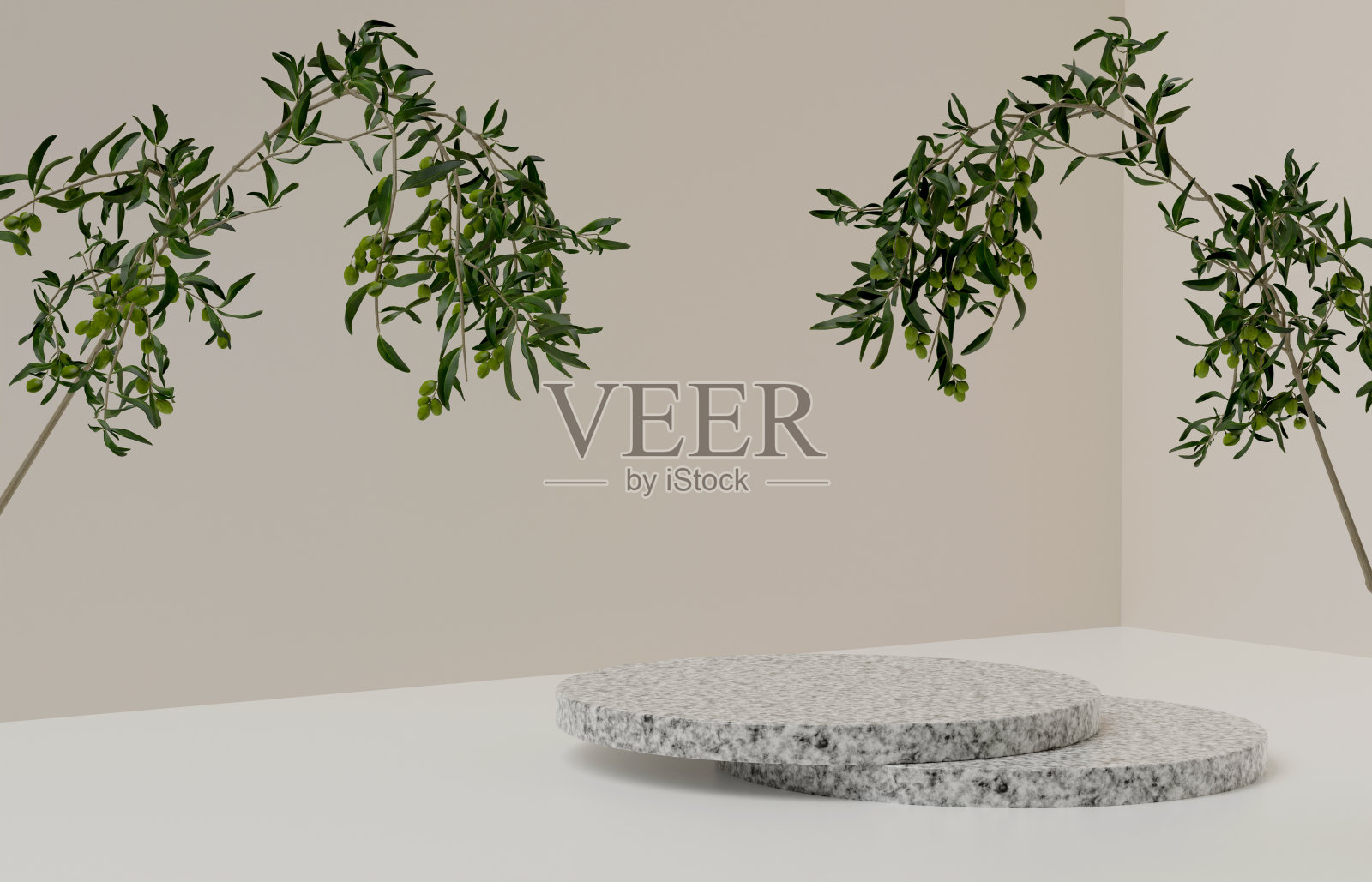 白色花岗岩岩台或石台及叶枝作装饰。实物展台产品场景背景。三维讲台舞台图解照片摄影图片