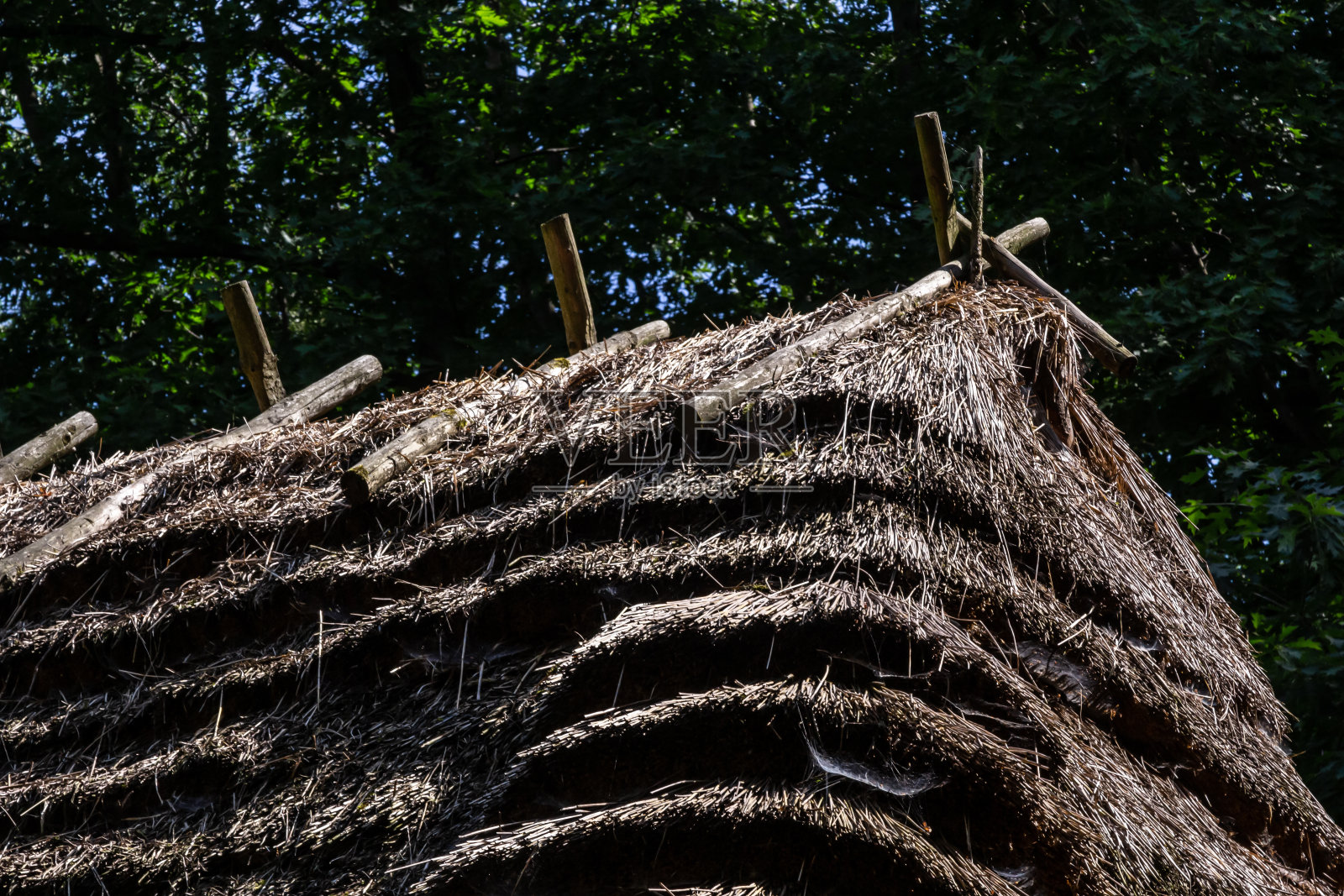 传统的乌克兰老房子，在一个夏天阳光明媚的日子里，在森林的背景下，茅草屋顶照片摄影图片