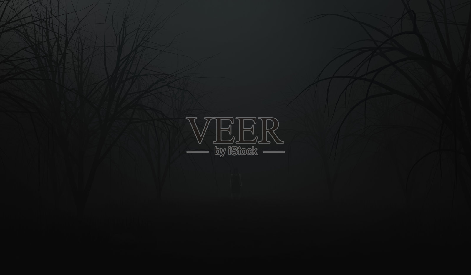 房子在恐怖的黑暗森林或夜间黑森林背景。可怕的场景背景。三维渲染照片摄影图片