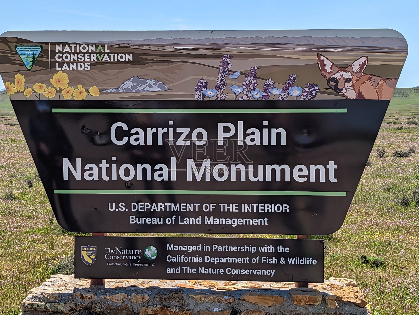 2023年4月初，加利福尼亚州贝克斯菲尔德西部卡里佐平原国家纪念碑的圣安德烈亚斯沿岸野花盛开照片摄影图片