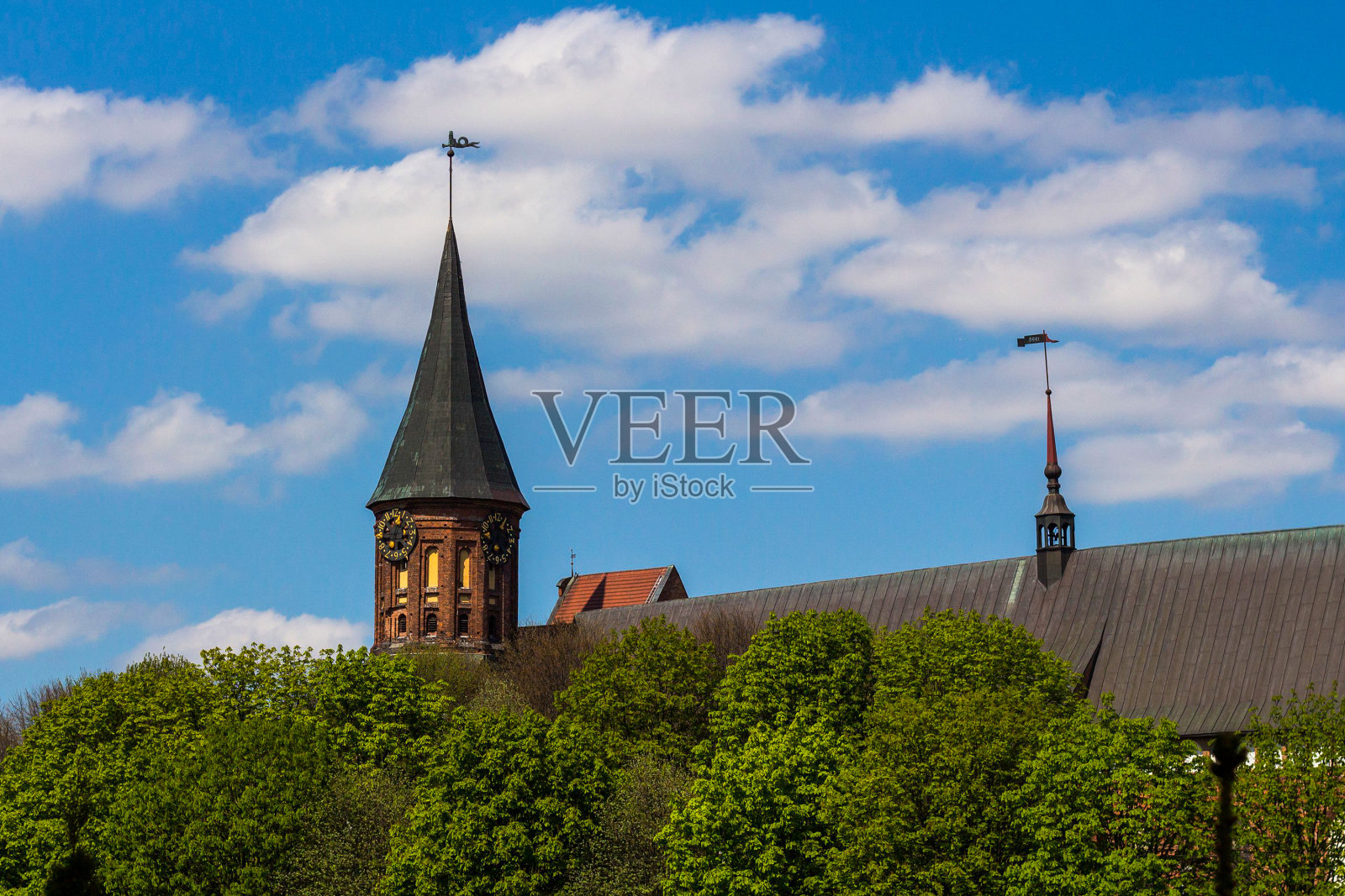 View of the cathedral in Königsberg照片摄影图片