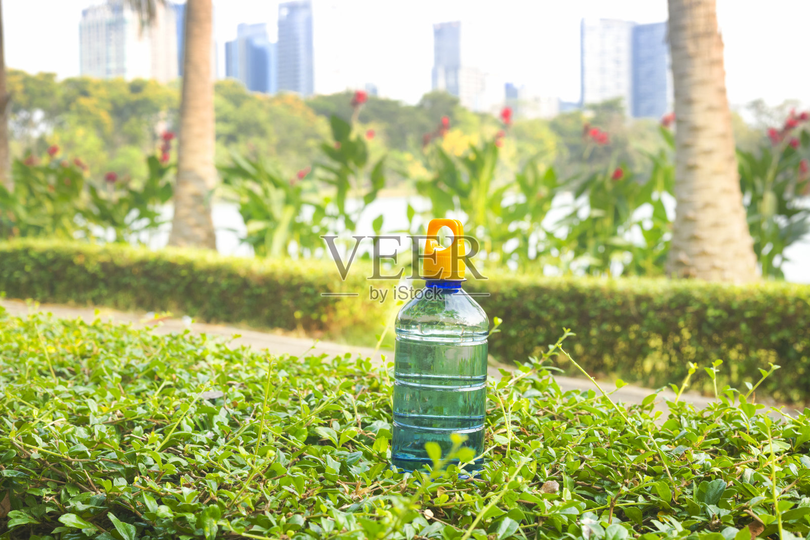 公园树篱上的小水瓶与曼谷的城市景观照片摄影图片