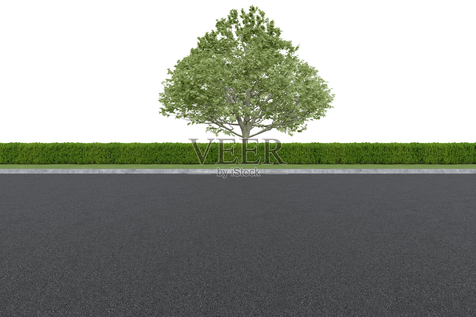 现实的路边与树篱和树。照片摄影图片