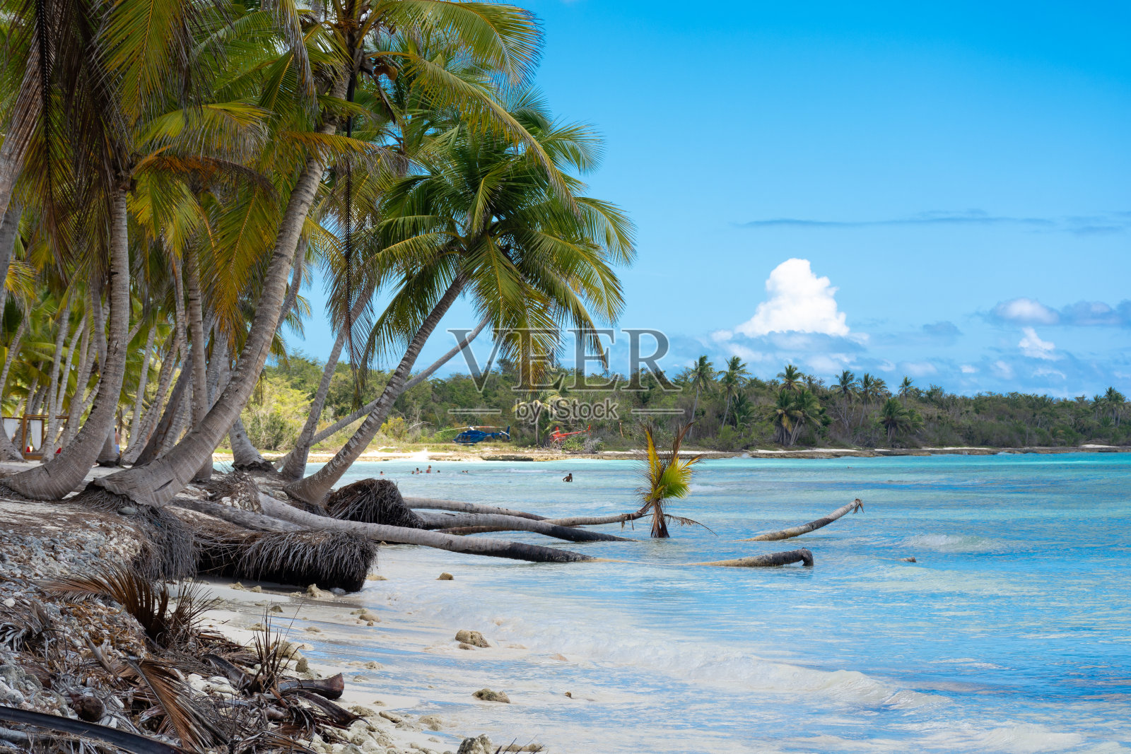 多米尼加共和国，美丽的加勒比海海岸，绿松石般的海水和棕榈树。照片摄影图片