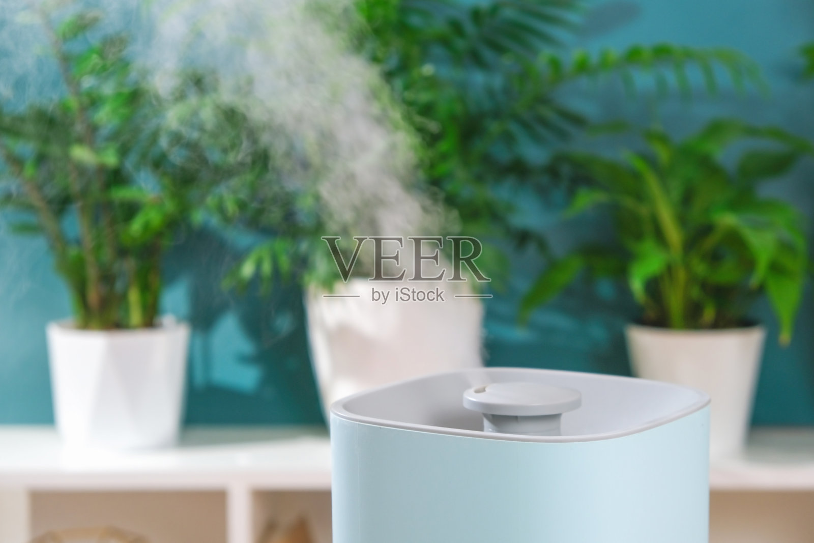 超声波加湿器释放冷蒸汽。植物在干燥空气中的养护和水合作用。照片摄影图片