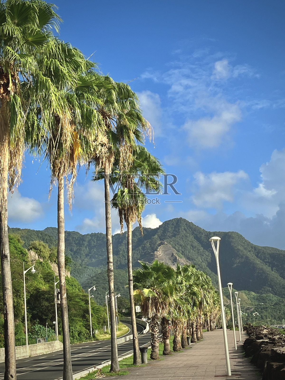 法属西印度群岛景观照片摄影图片
