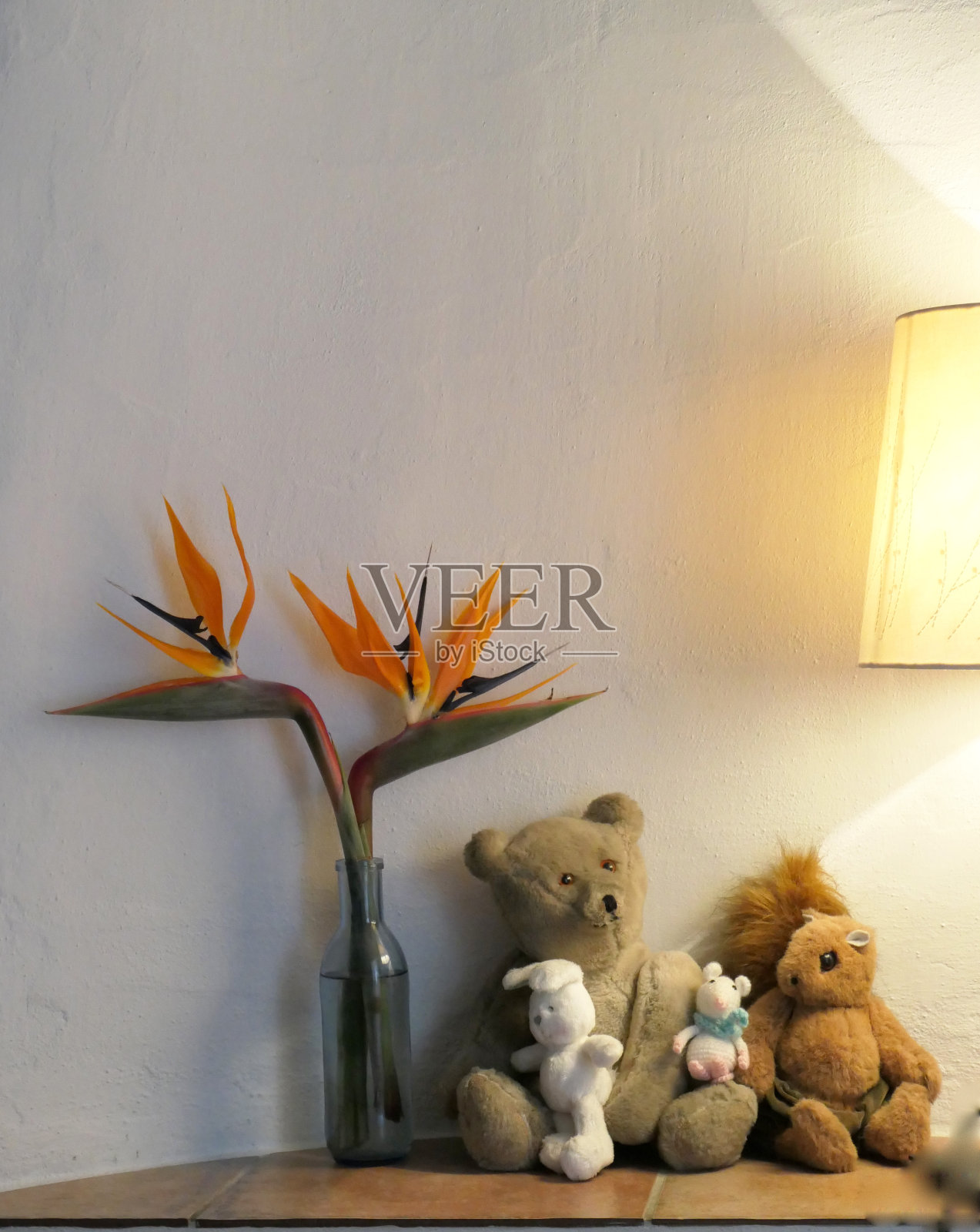 天堂鸟花照片摄影图片