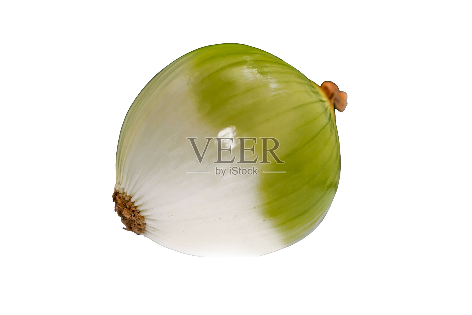 洋葱(allium Cepa Linnaeus)，绿皮分离在白色背景上照片摄影图片