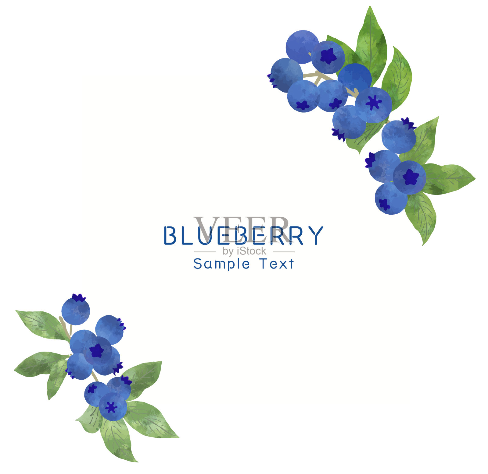 水彩风格的新鲜蓝莓框架插图插画图片素材