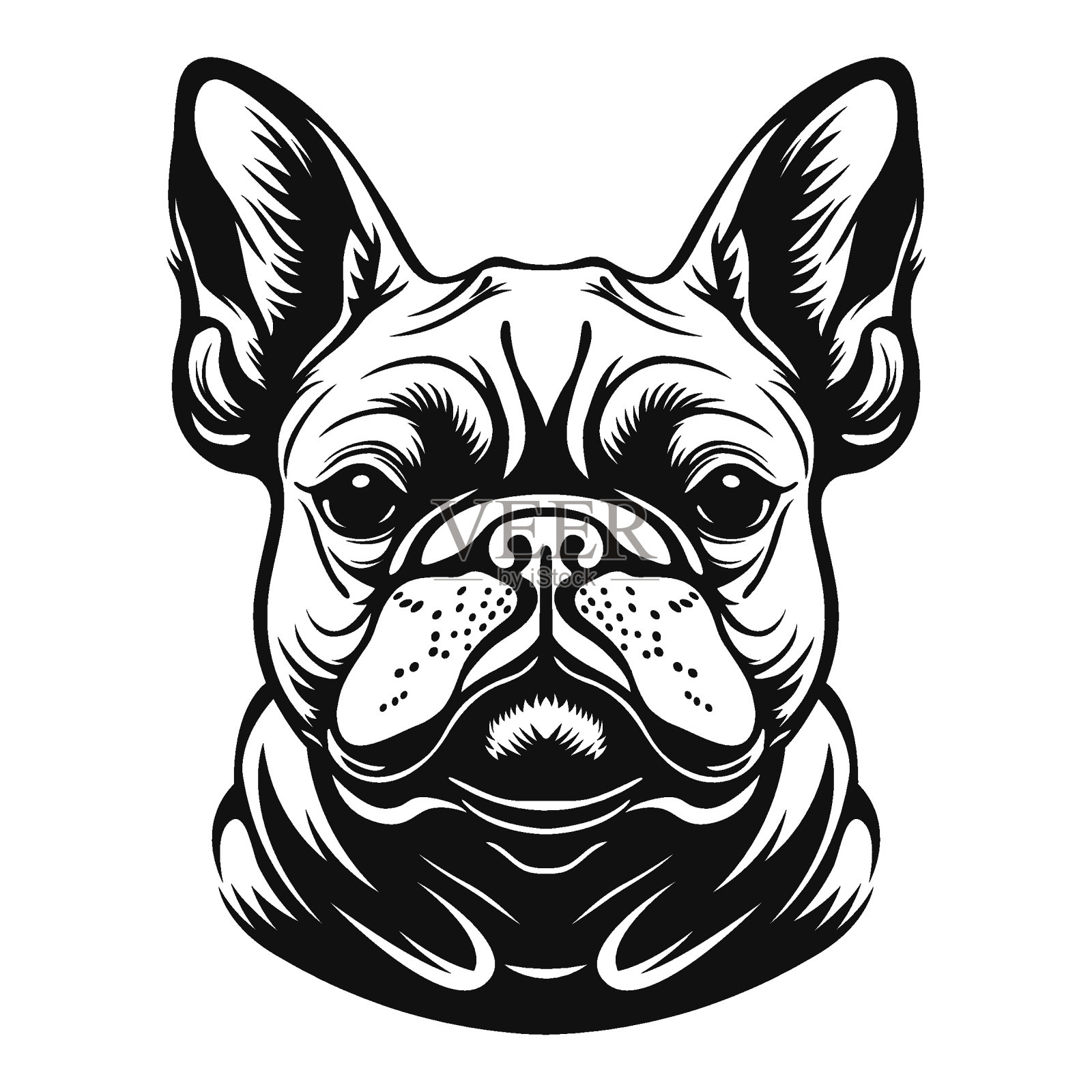 法国斗牛犬。狗的脸。插画图片素材