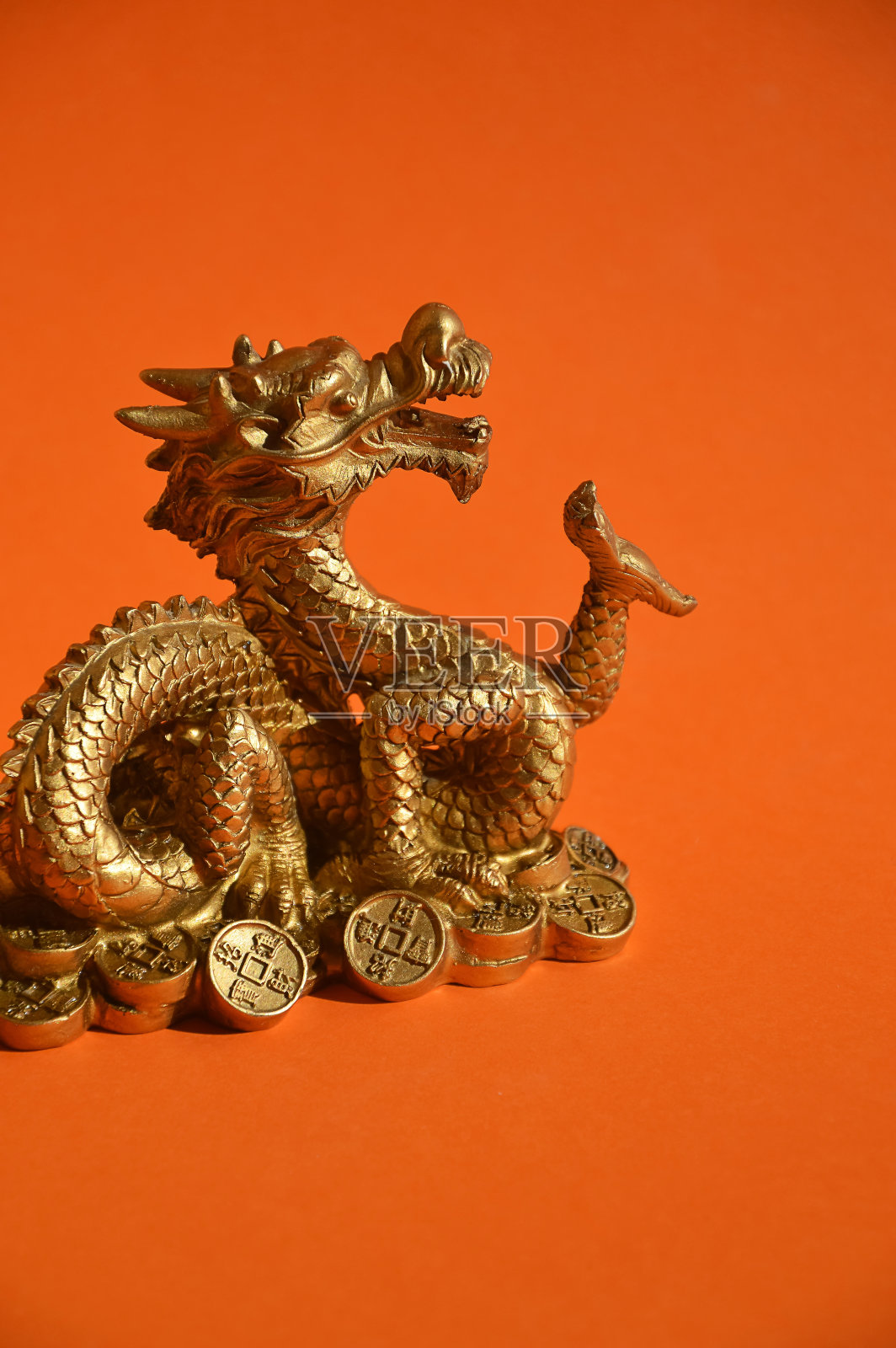 金龙。中国星象，2024年是龙年。设计背景。照片摄影图片