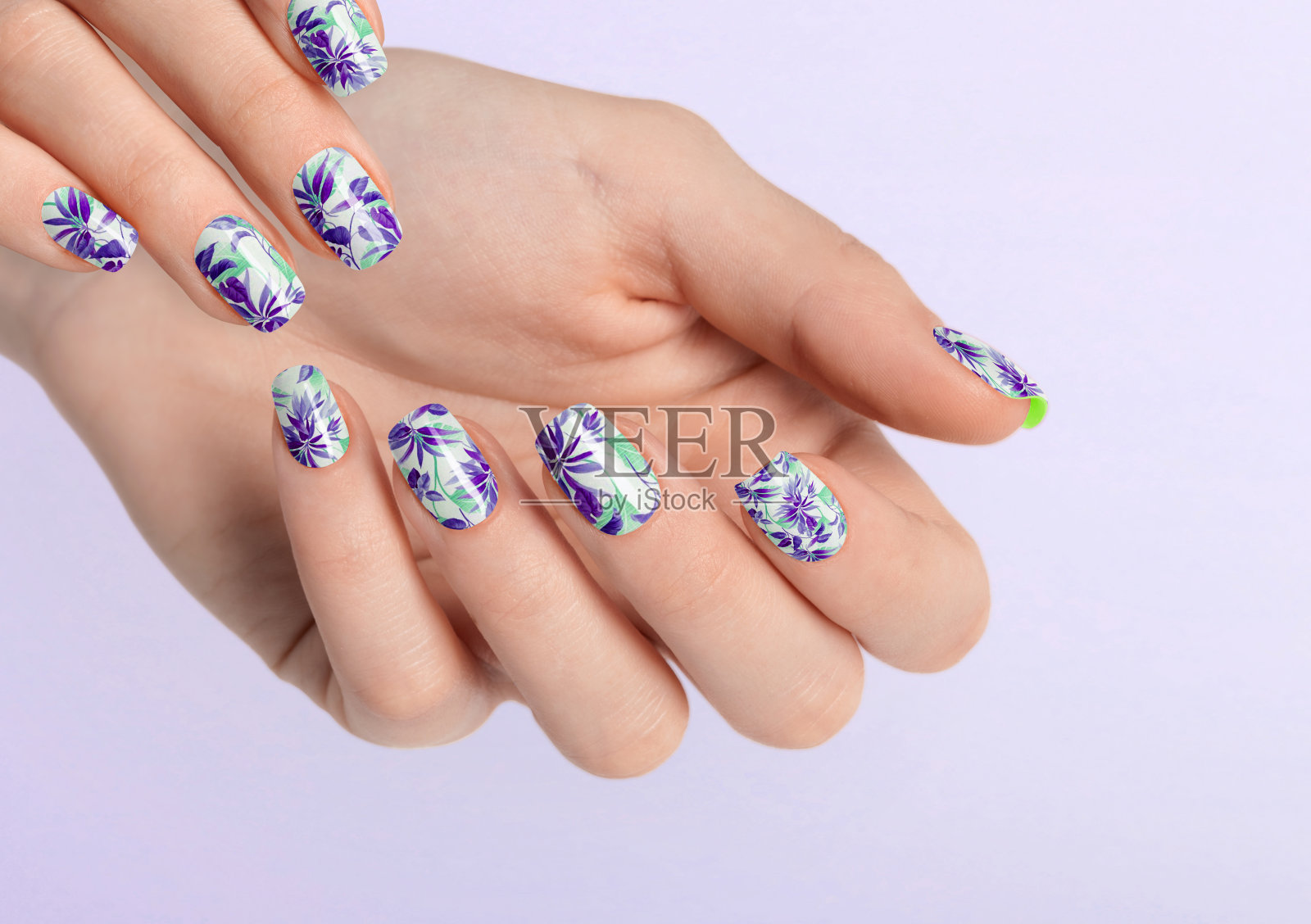 美丽的女性的手与紫叶指甲。女性把手放在复印空间上。照片摄影图片