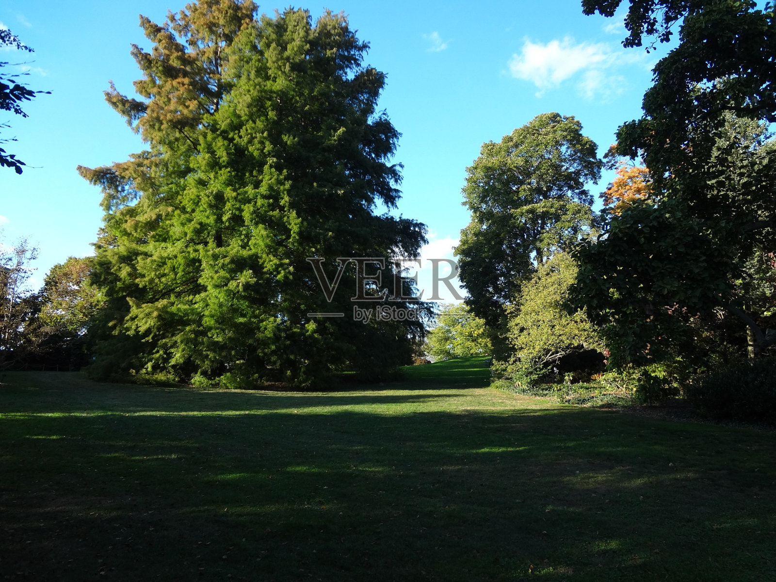 波浪山，2013年10月20日照片摄影图片