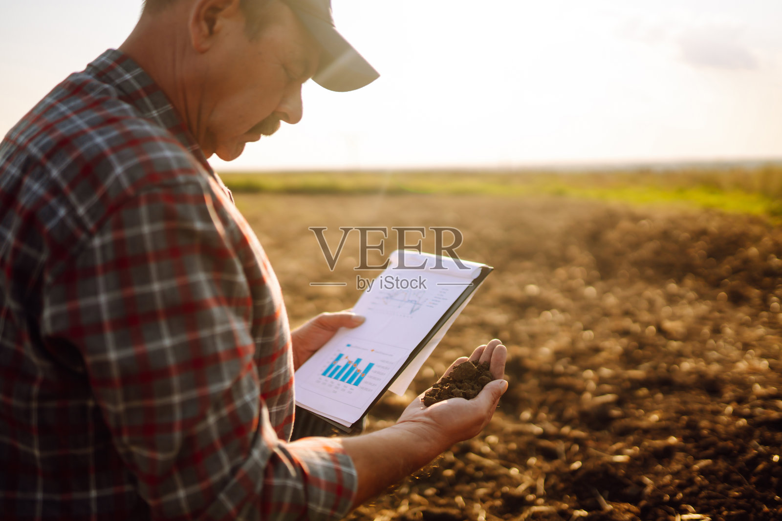 农夫的手在地里握着一把土照片摄影图片